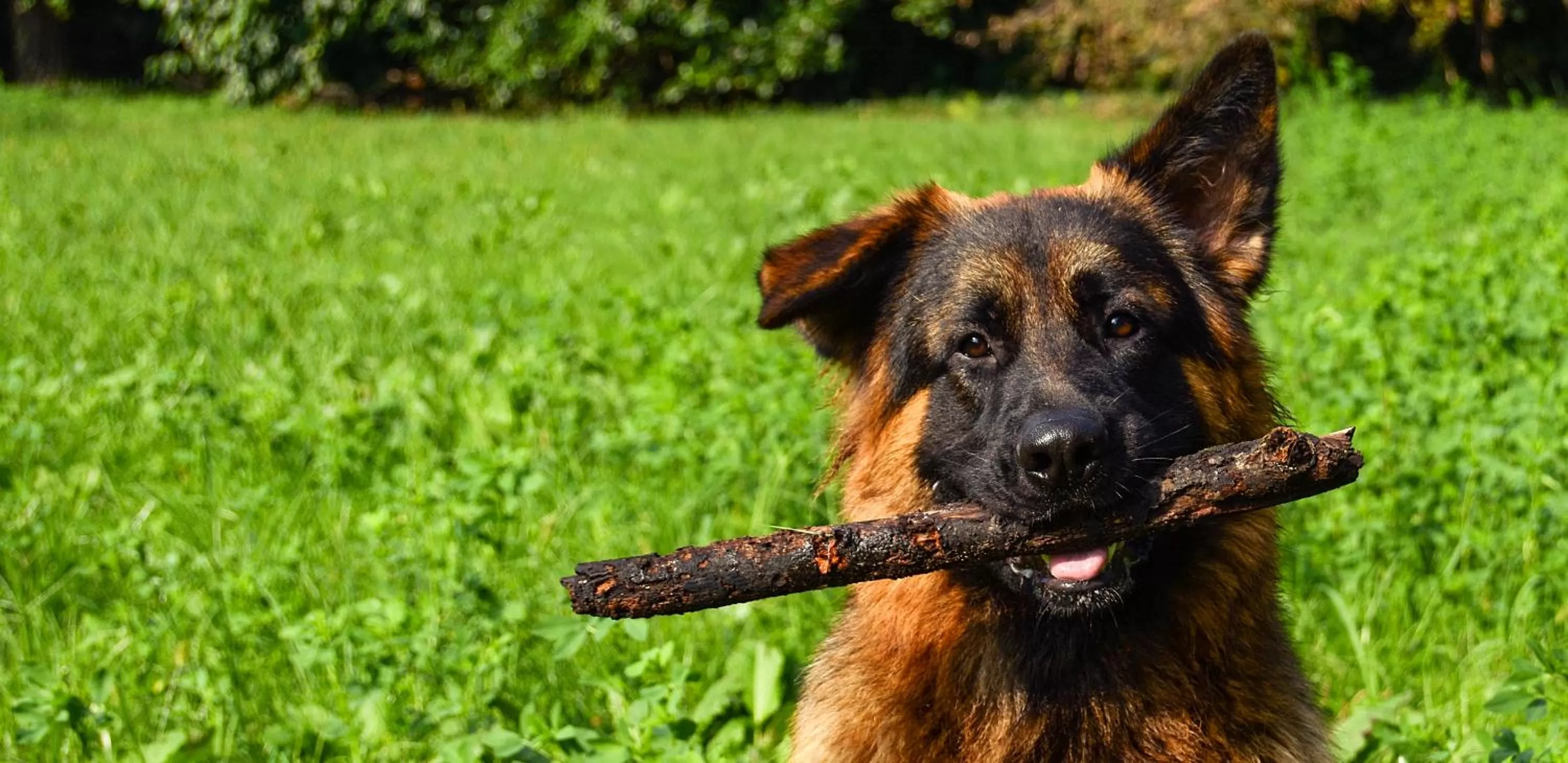 People in B&B Giardino Jappelli (Villa Ca' Minotto)