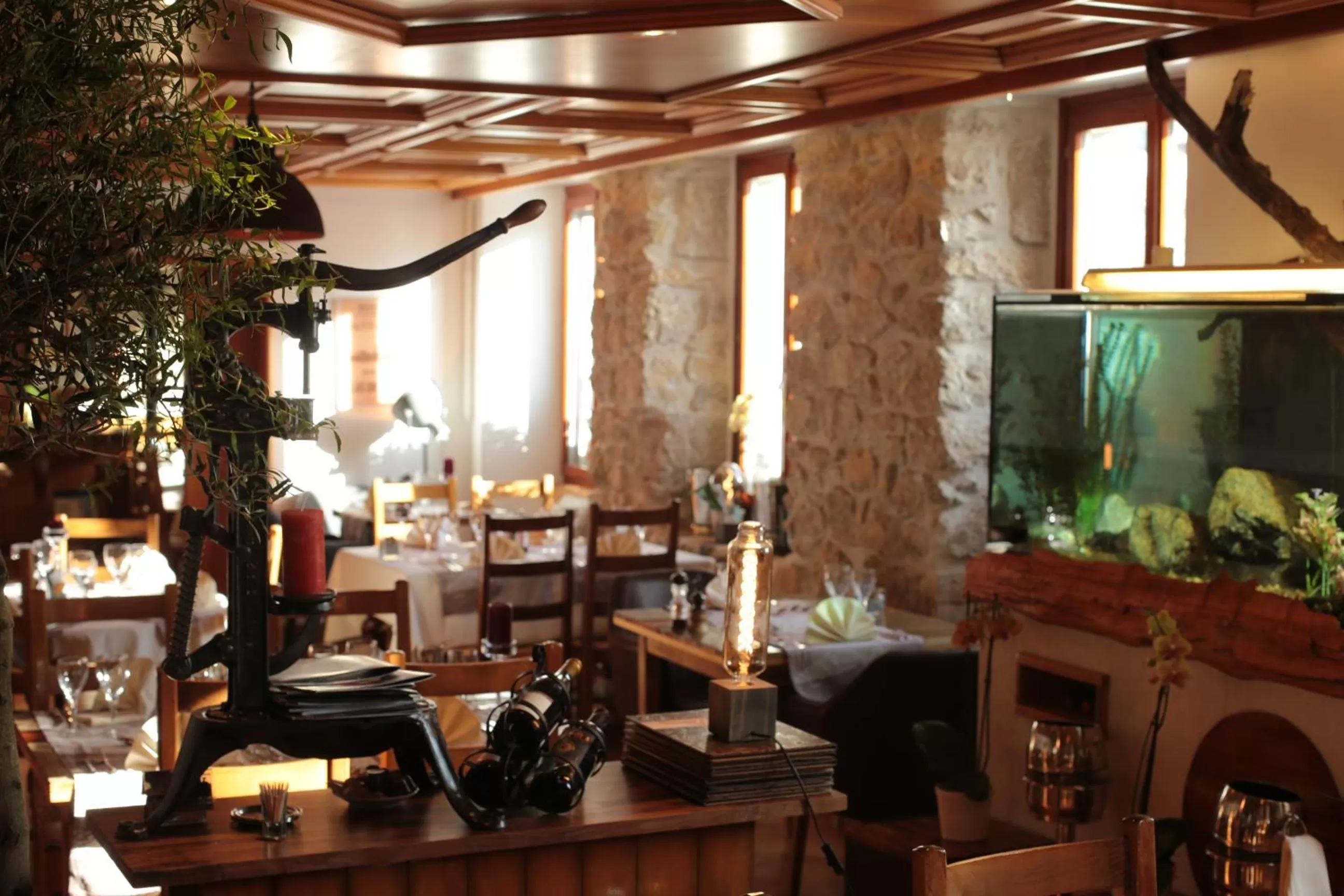 HOTEL de la Truite & SPA Le petit Nautilus