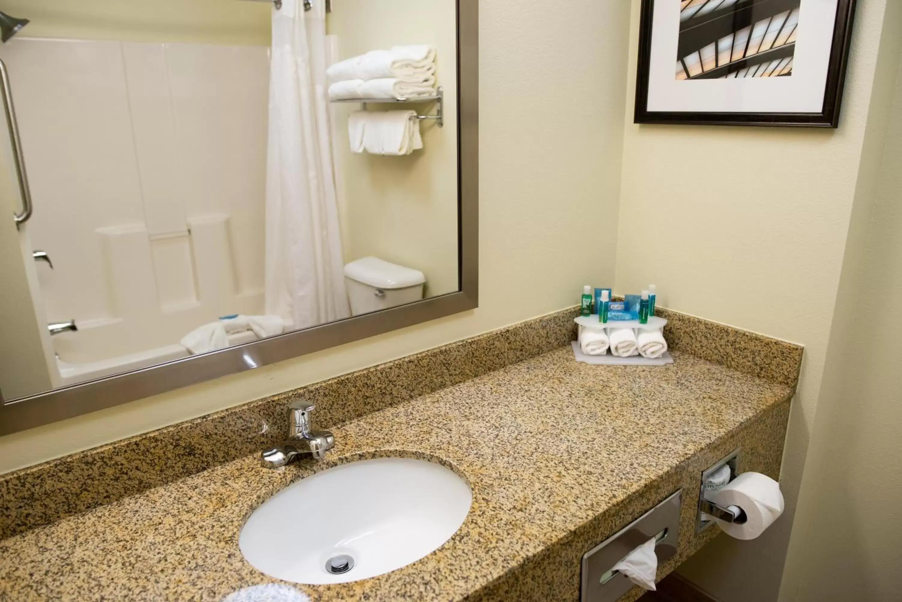 Bathroom in Holiday Inn Express Hotel & Suites Chanhassen, an IHG Hotel