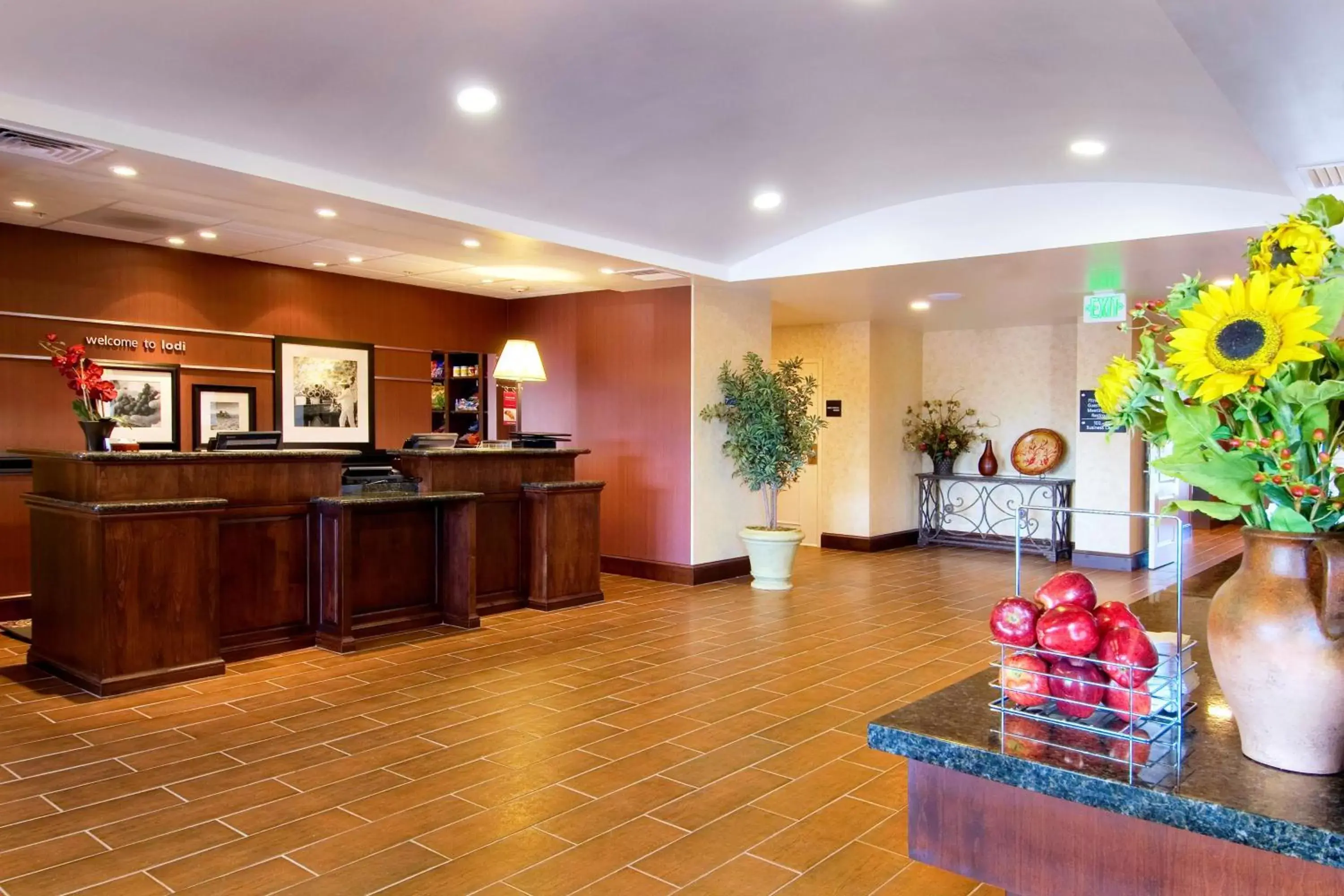 Lobby or reception, Lobby/Reception in Hampton Inn & Suites Lodi