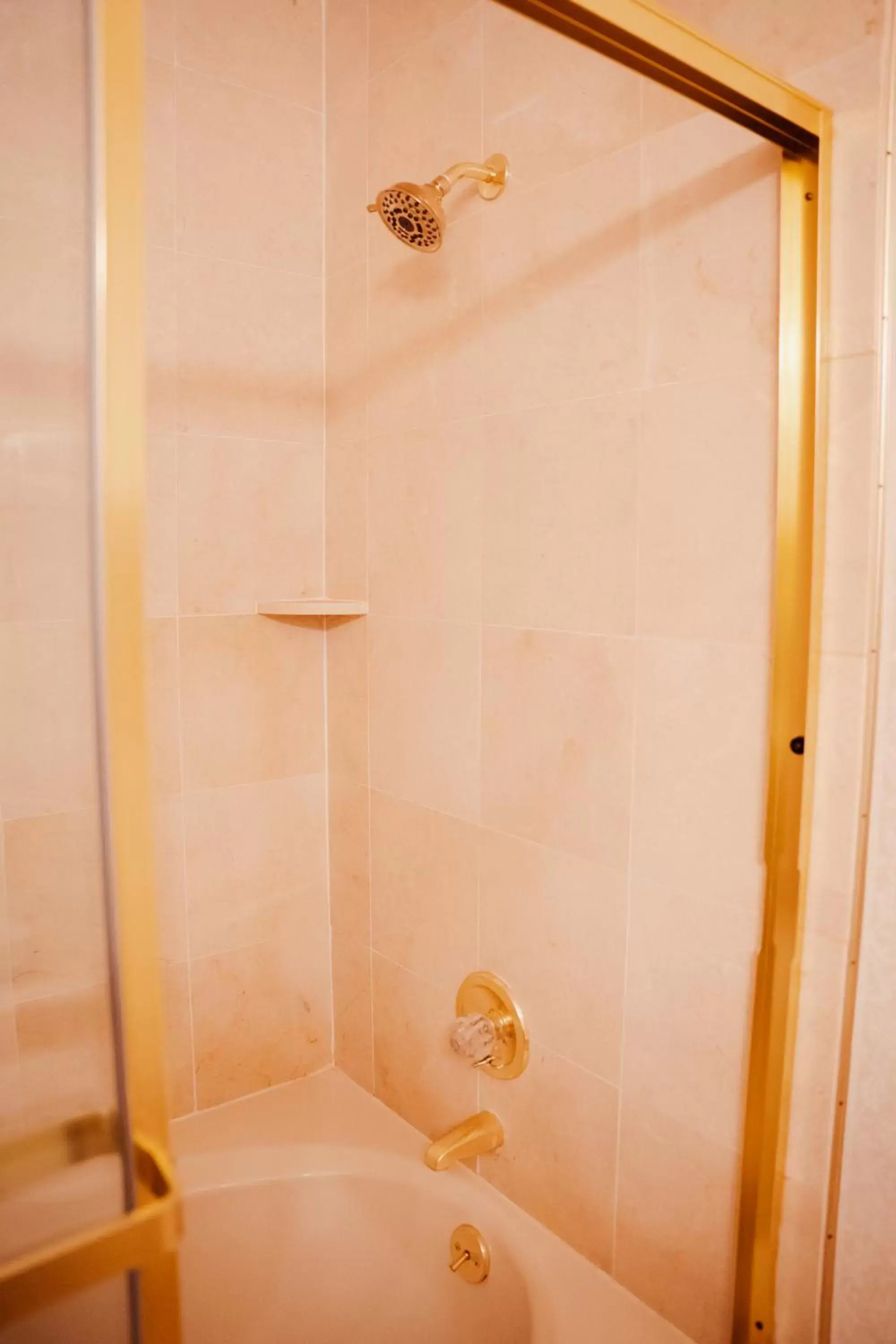 Shower, Bathroom in Phoenix Inn Resort