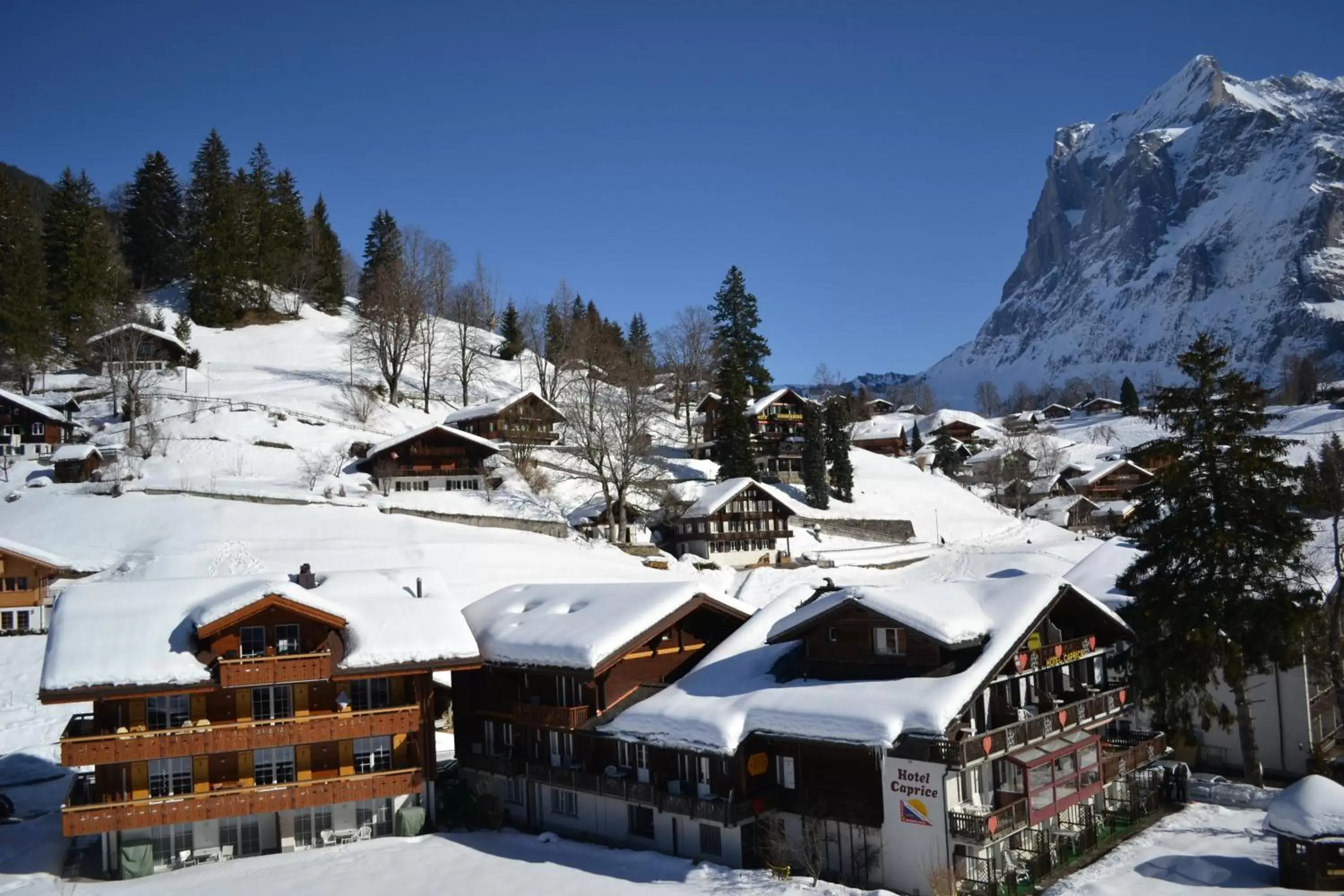 Facade/entrance, Winter in Hotel Caprice - Grindelwald