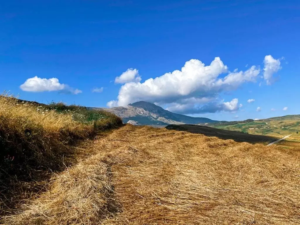 Natural Landscape in Corleone GUESTHOUSE