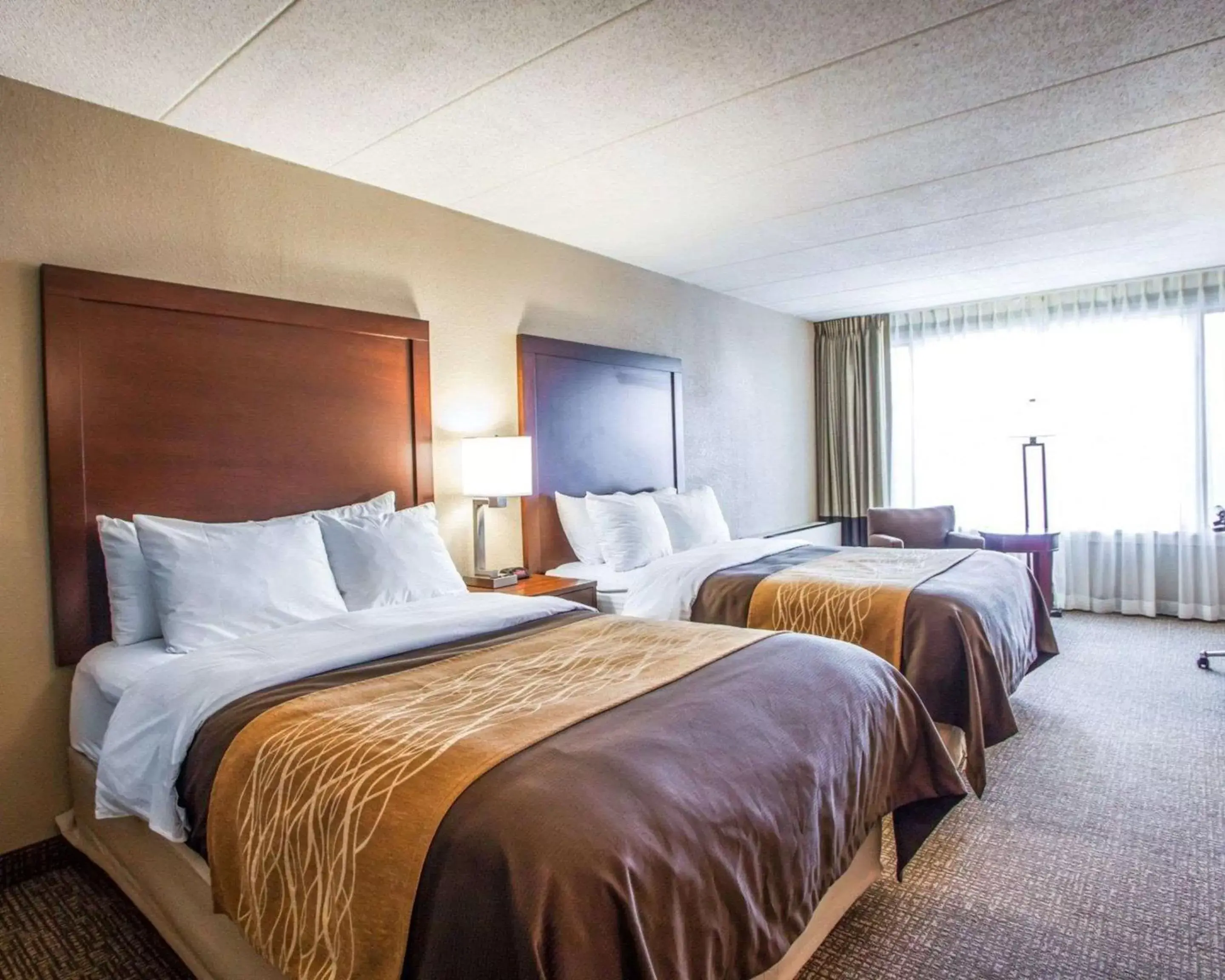 Photo of the whole room, Bed in Quality Inn & Suites Orland Park - Chicago