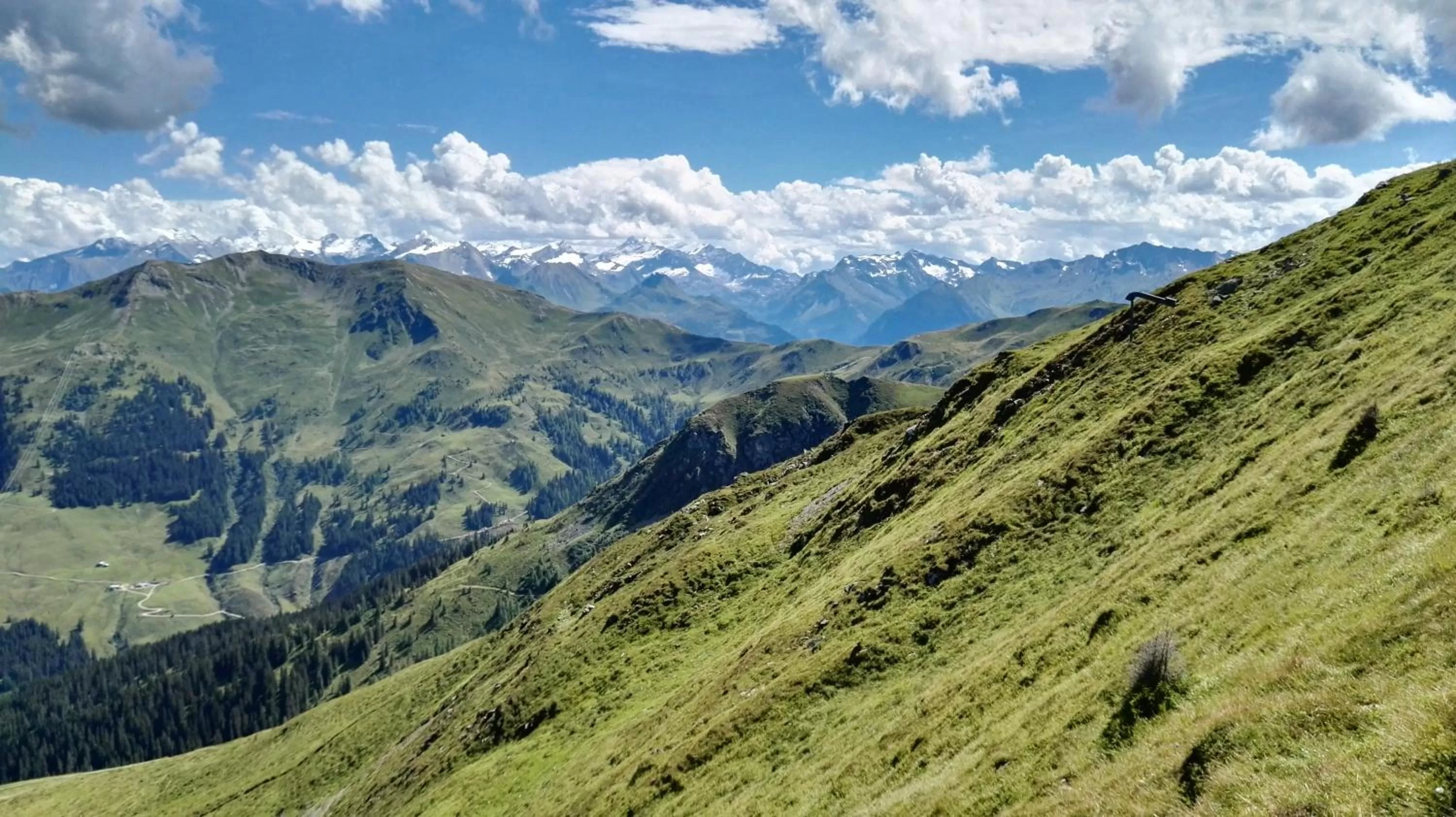 Hiking in Stammhaus im Hotel Alpine Palace