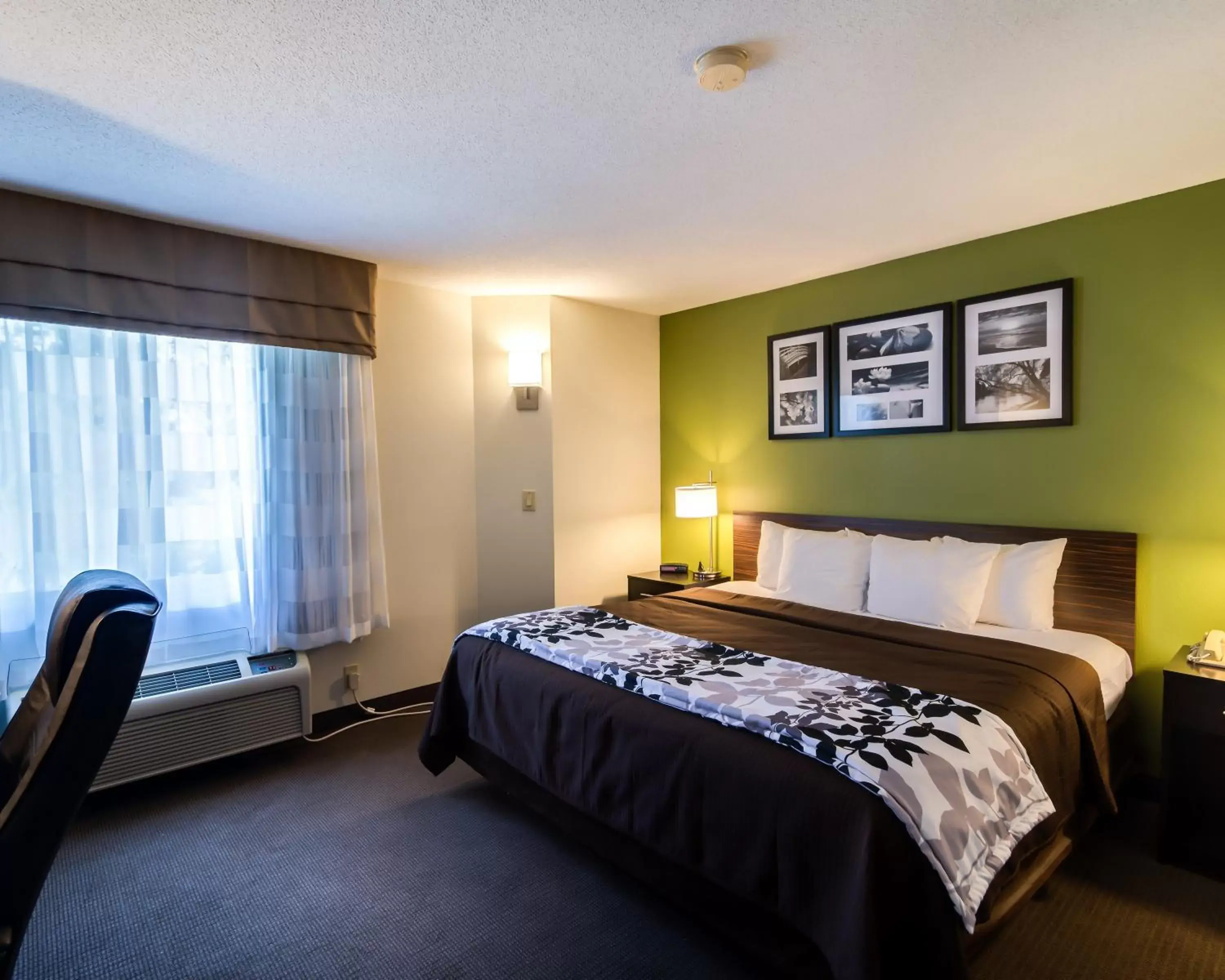 Queen Room - Disability Access in Sleep Inn Airport West Columbia