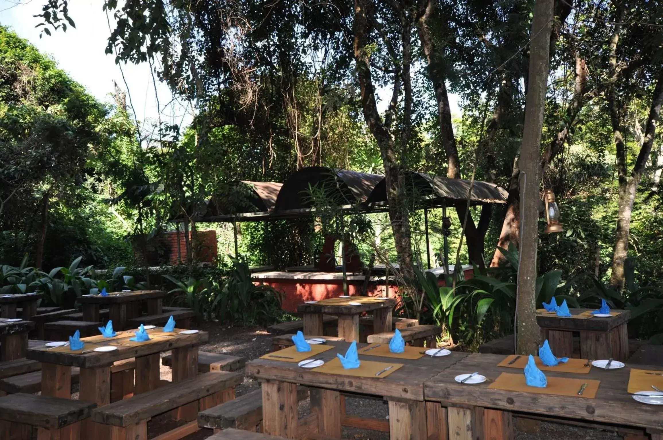 Garden, Restaurant/Places to Eat in La Mada Hotel