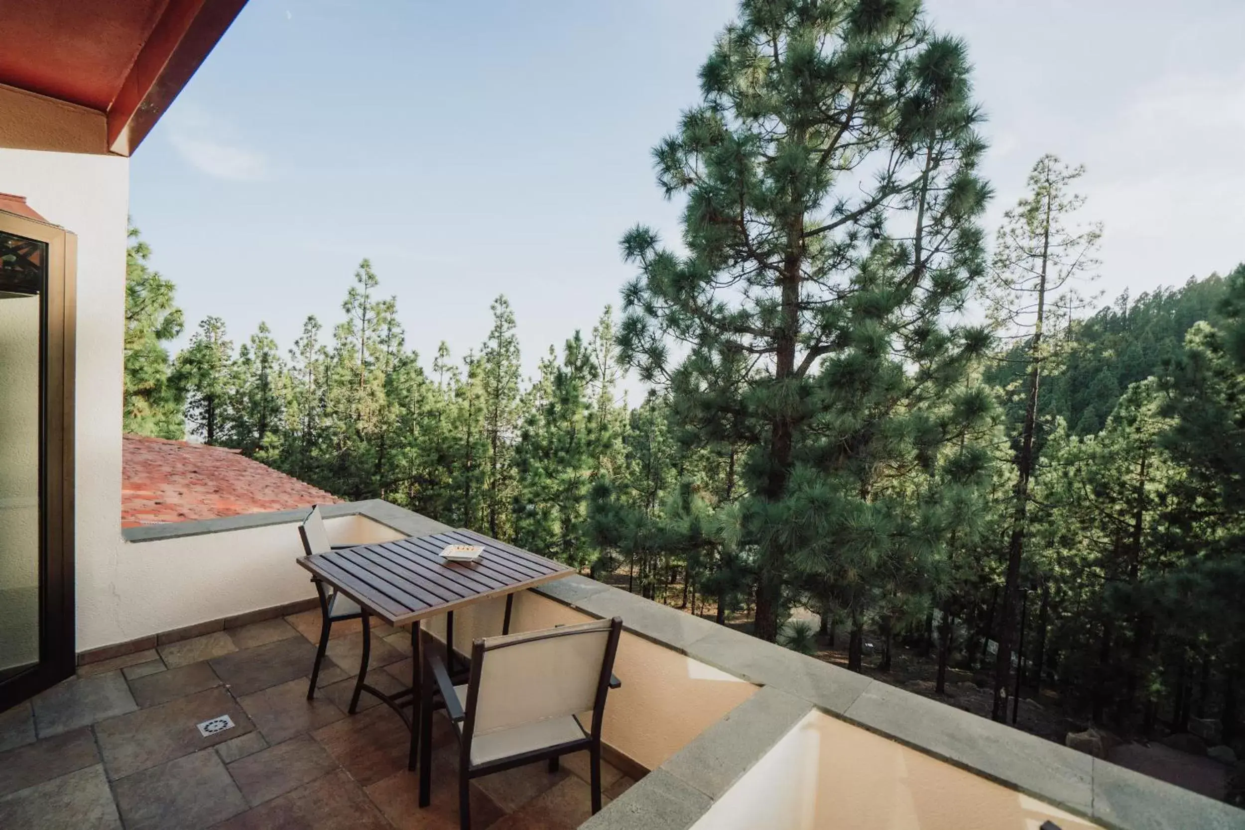 Balcony/Terrace in Hotel Spa Villalba