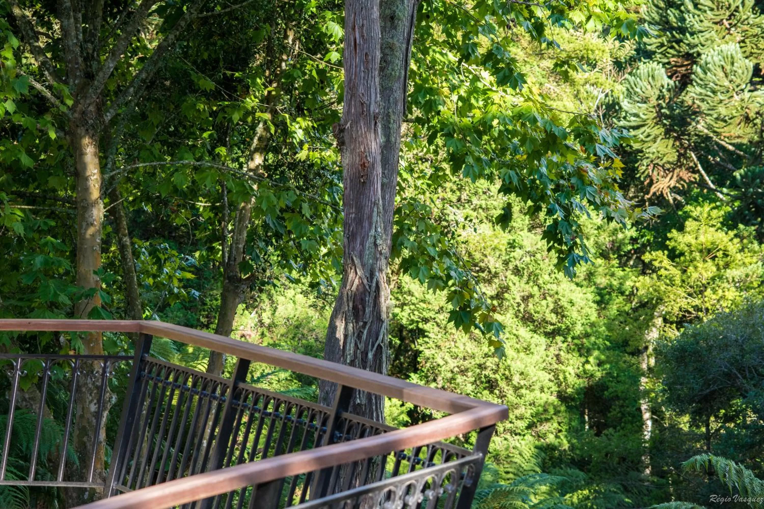 Natural landscape in Pousada Ricanto Amore Mio