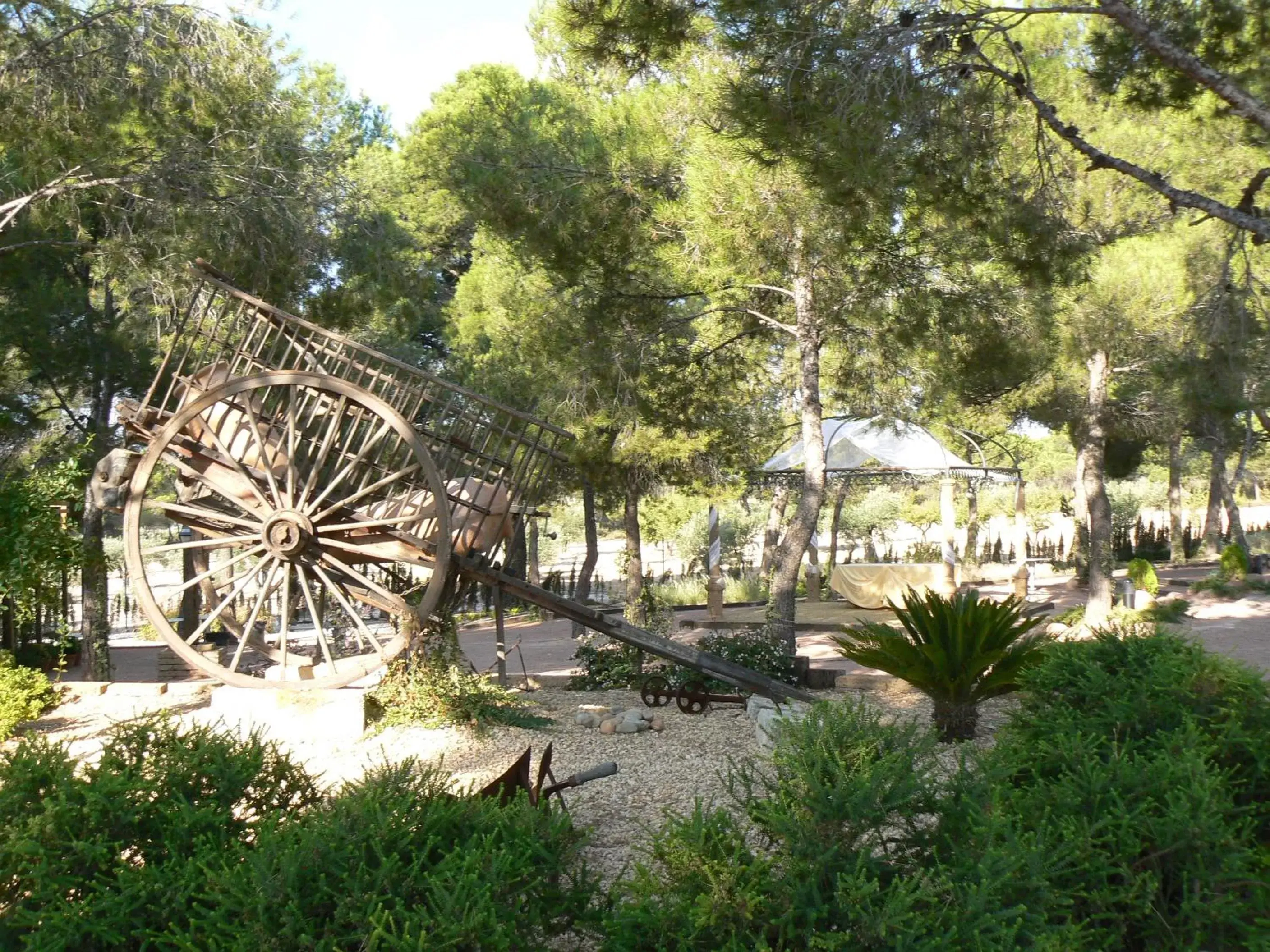 Garden in Hotel Caseta Nova