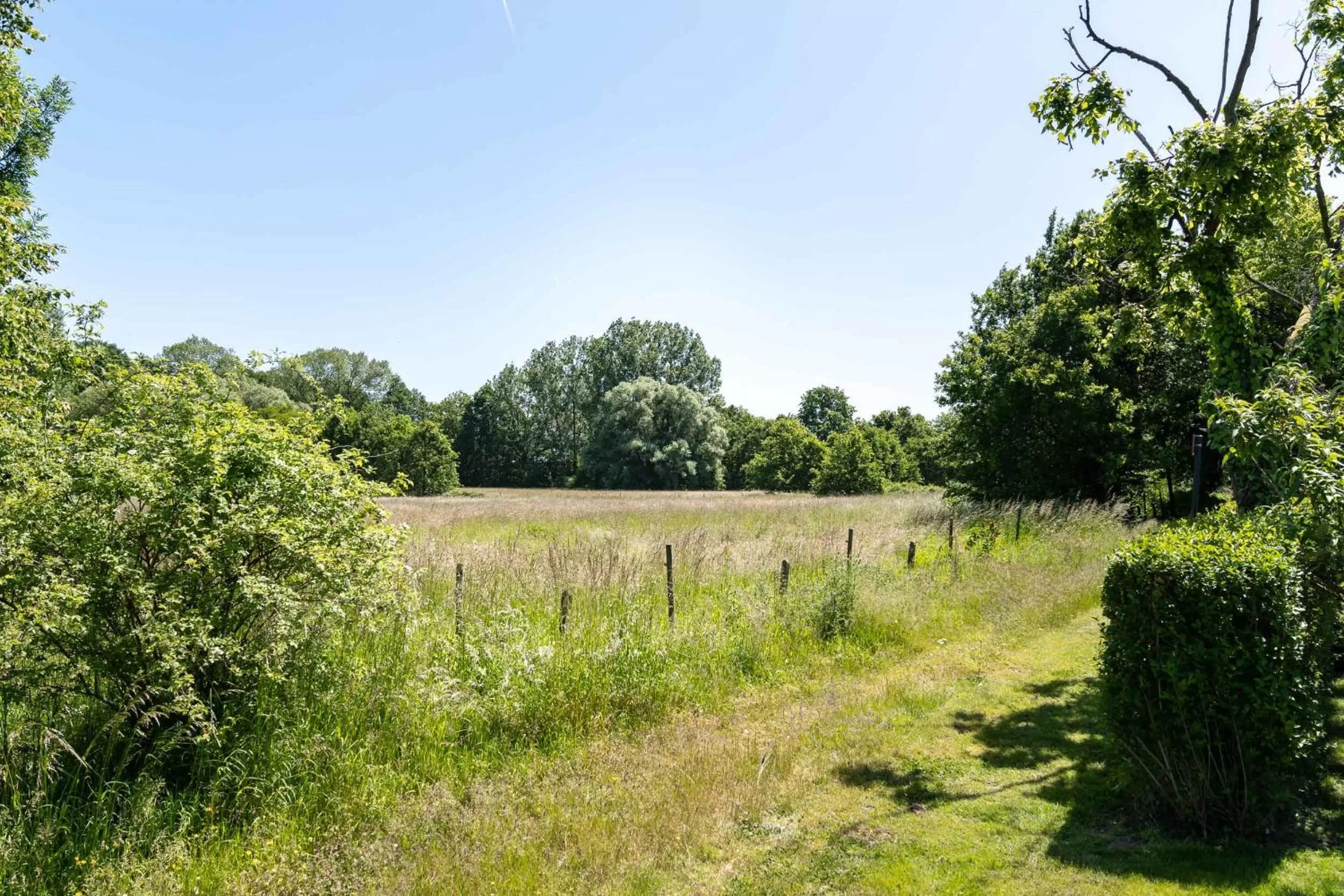 View (from property/room) in De Gulle Beemden