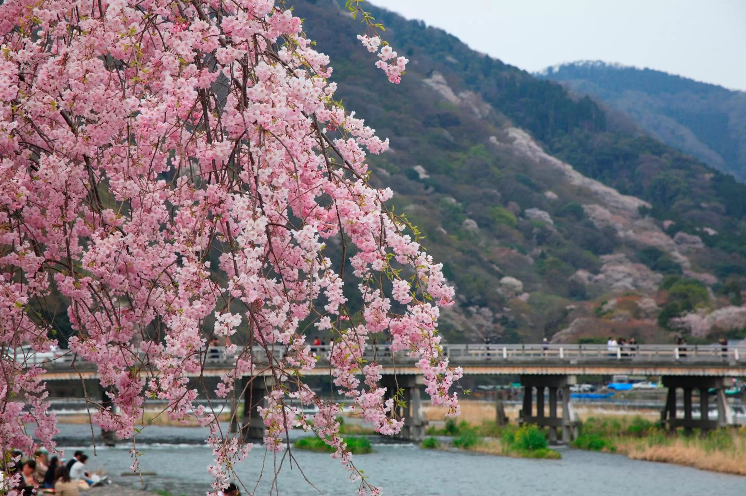 Nearby landmark in Urban Hotel Kyoto