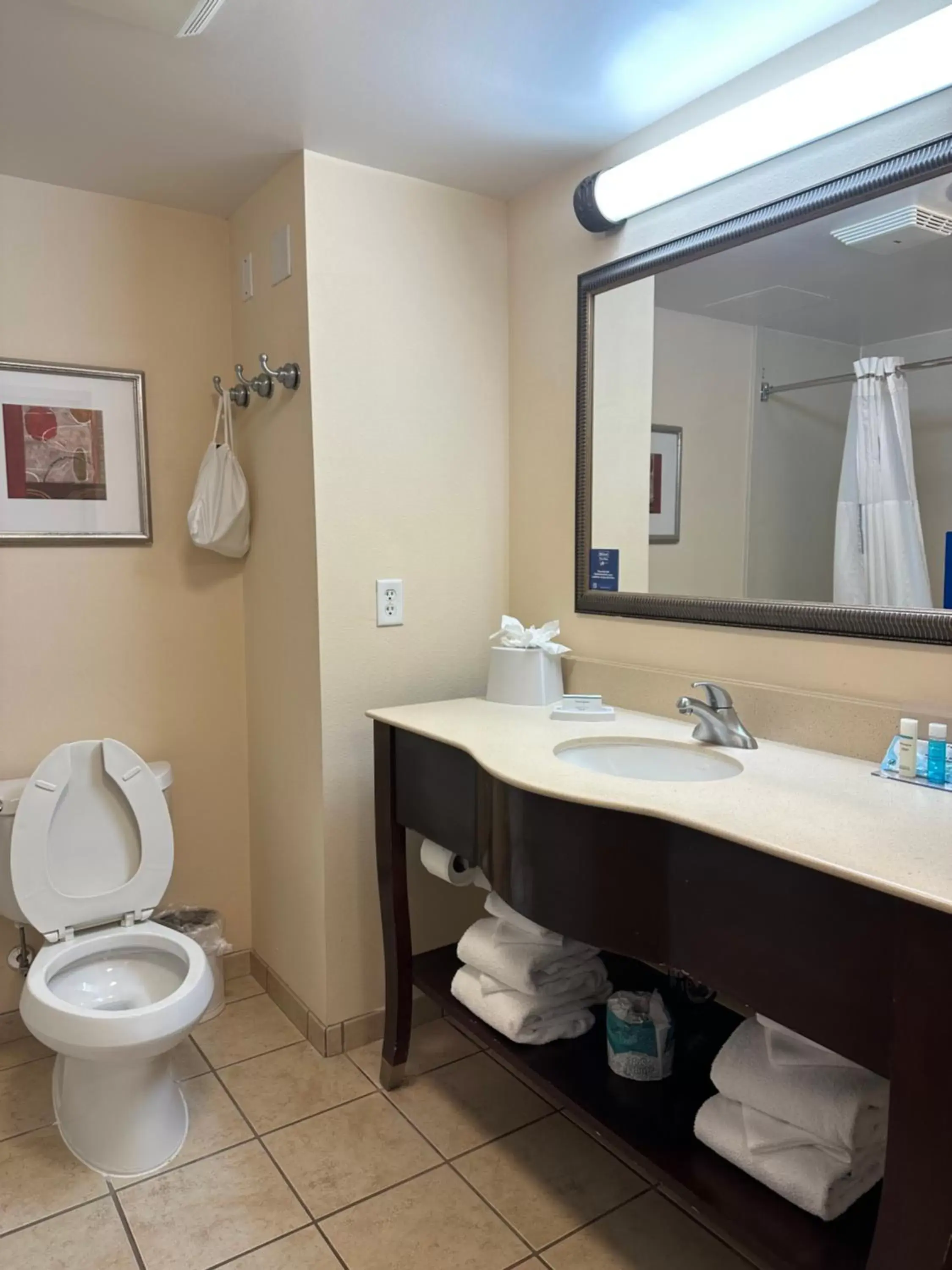 Toilet, Bathroom in Hampton Inn Virginia Beach-Oceanfront South