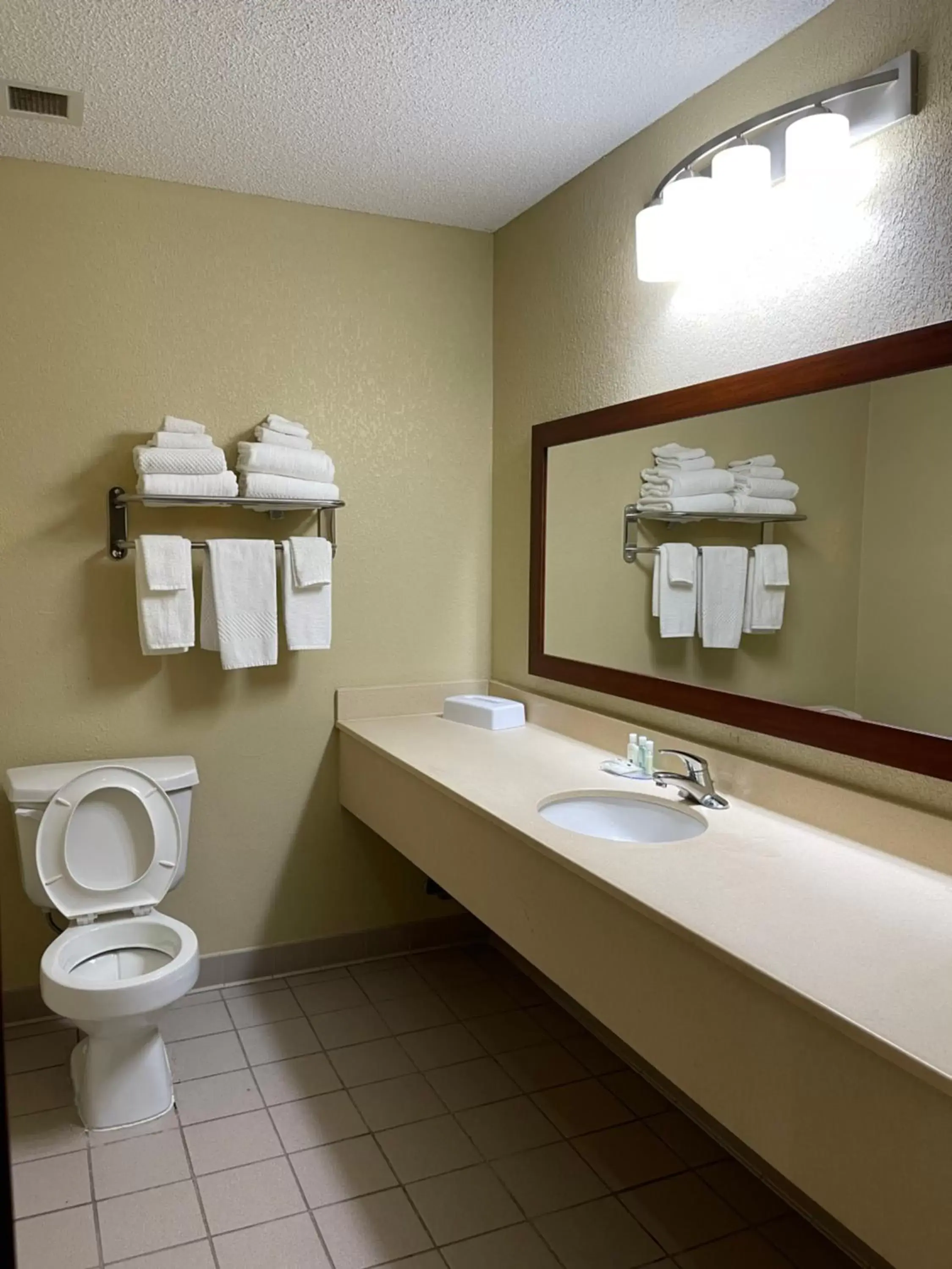 Bathroom in Quality Inn Thomasville-Northpark