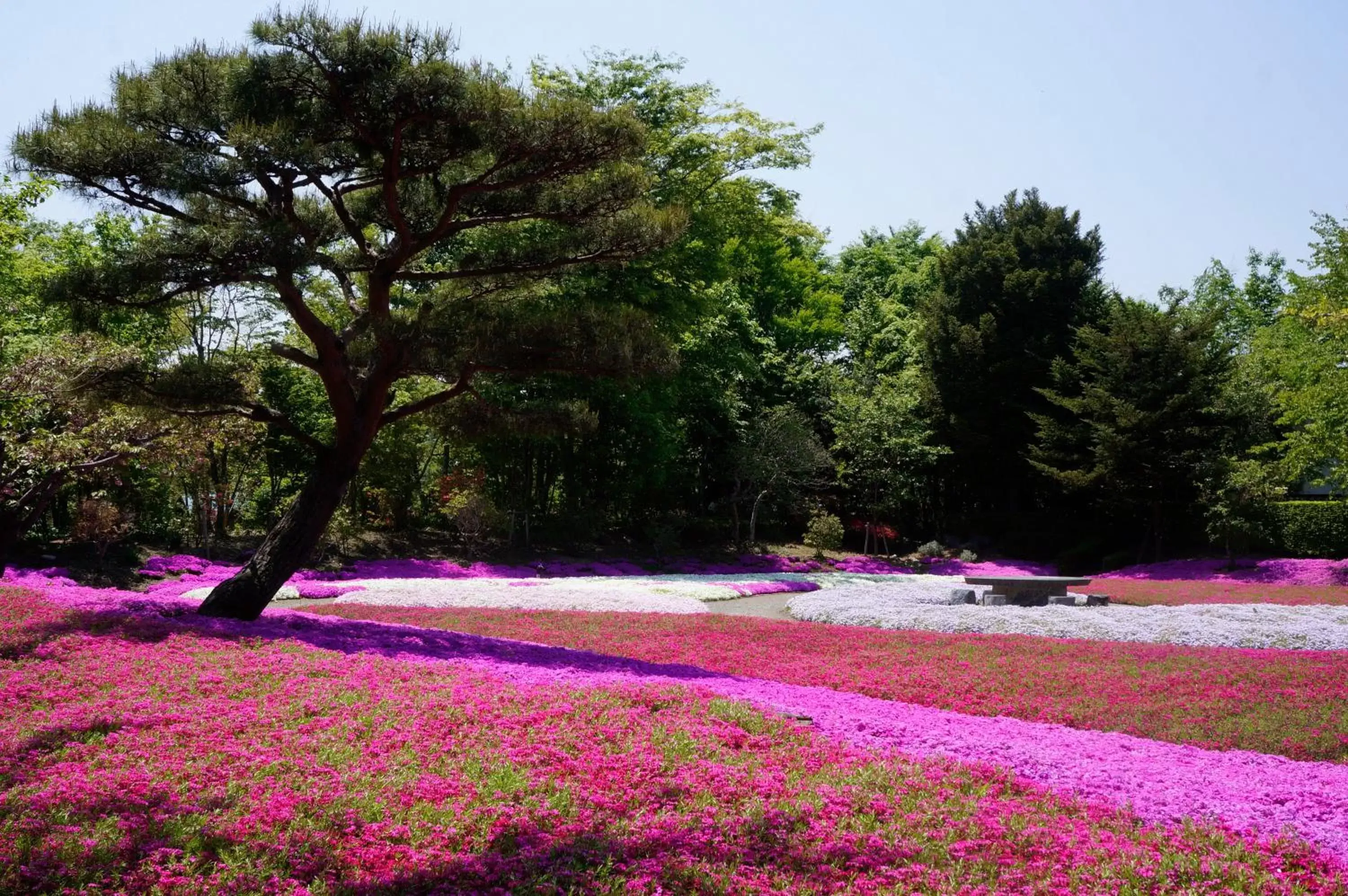 Nearby landmark, Garden in APA Hotel Fukushima Ekimae