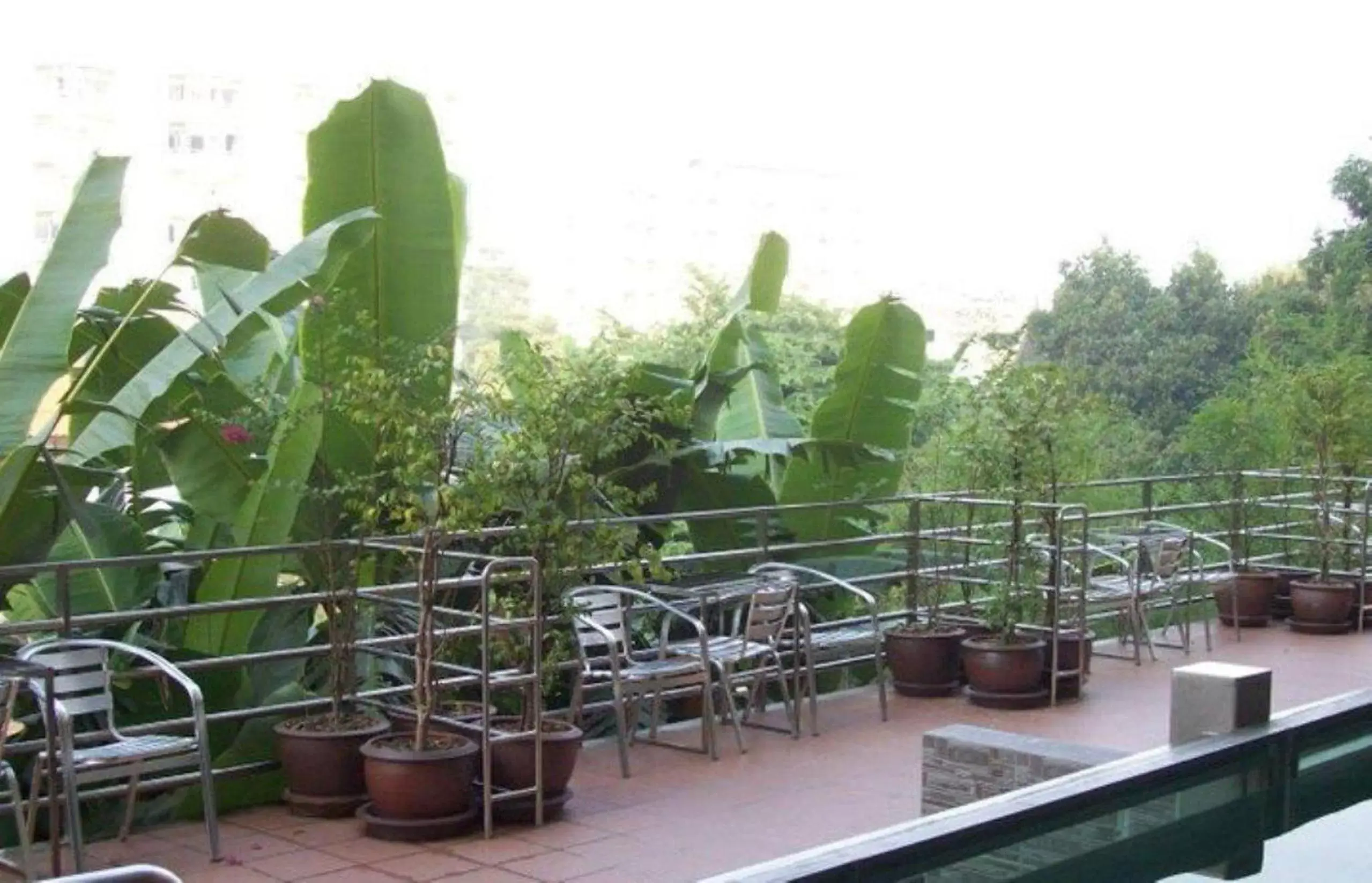 Restaurant/places to eat in Ratchada 17 Place Restaurant/places to eat in Ratchada 17 Place