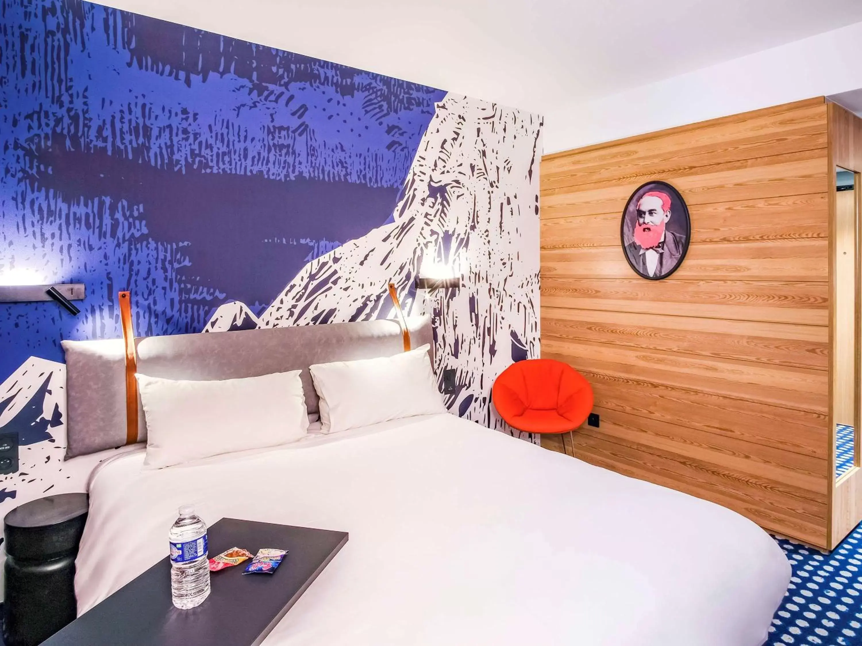 Photo of the whole room, Bed in ibis Styles Albertville