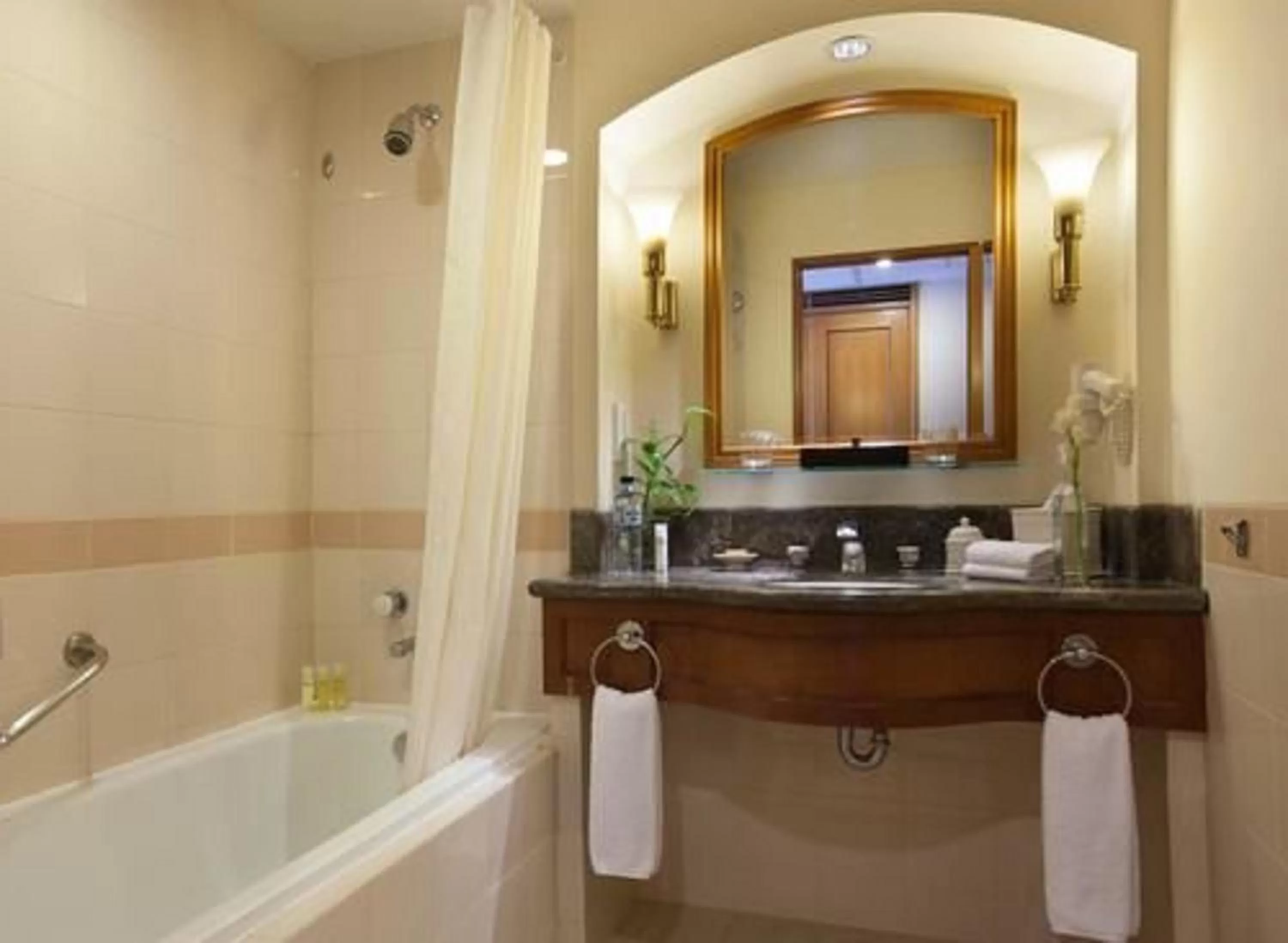 Deluxe Twin Room with Terrace in Hyatt Regency Yogyakarta