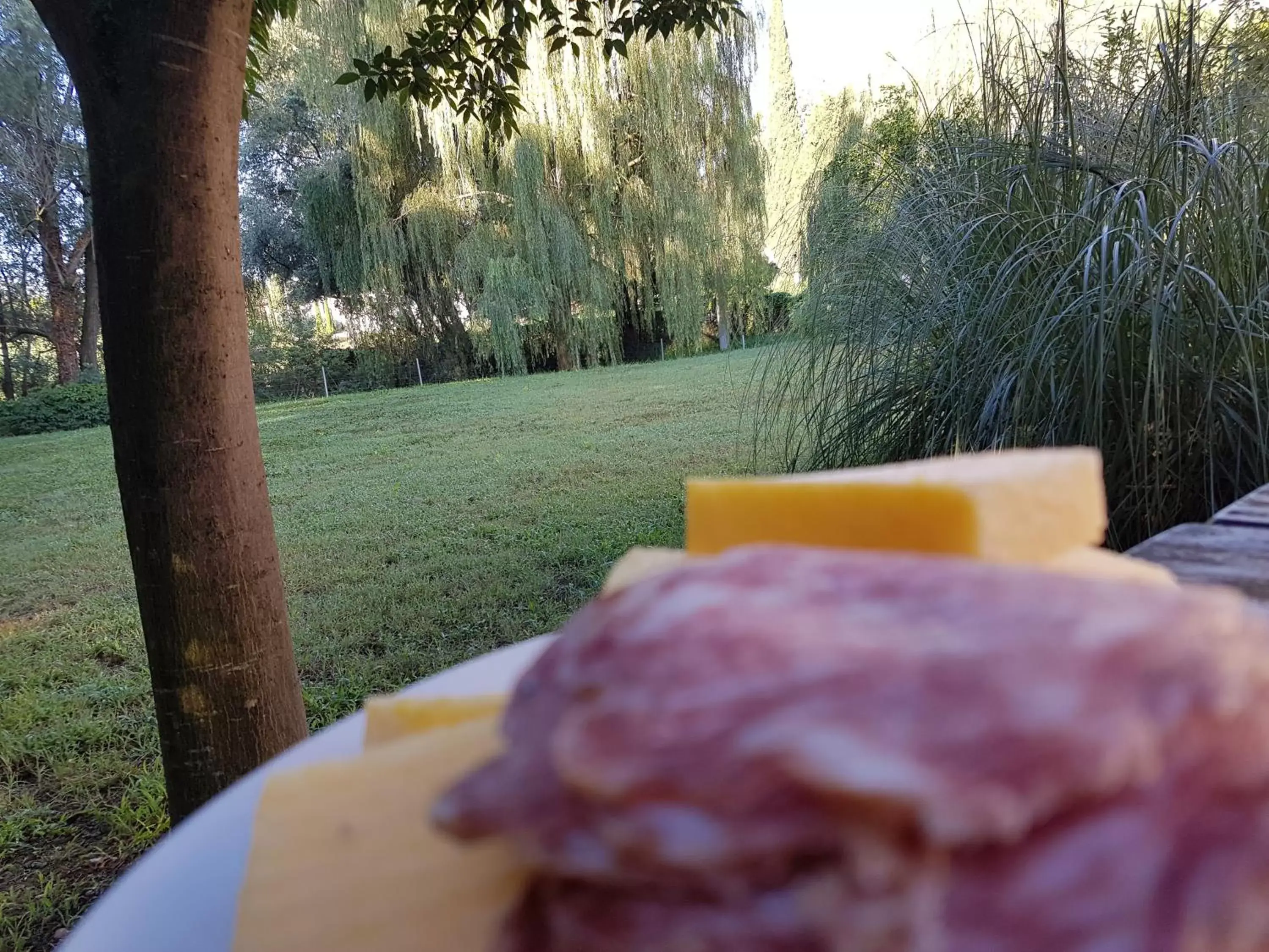 Breakfast in L'Isolo b&b e case vacanza