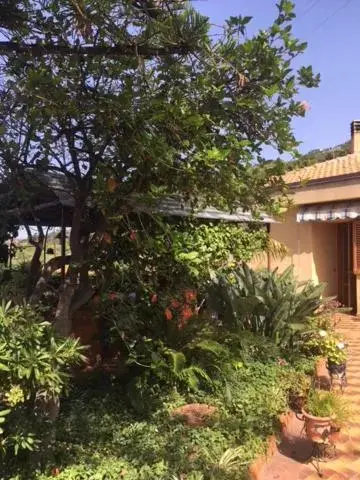 Garden in Stanza in Villa con giardino vista mare