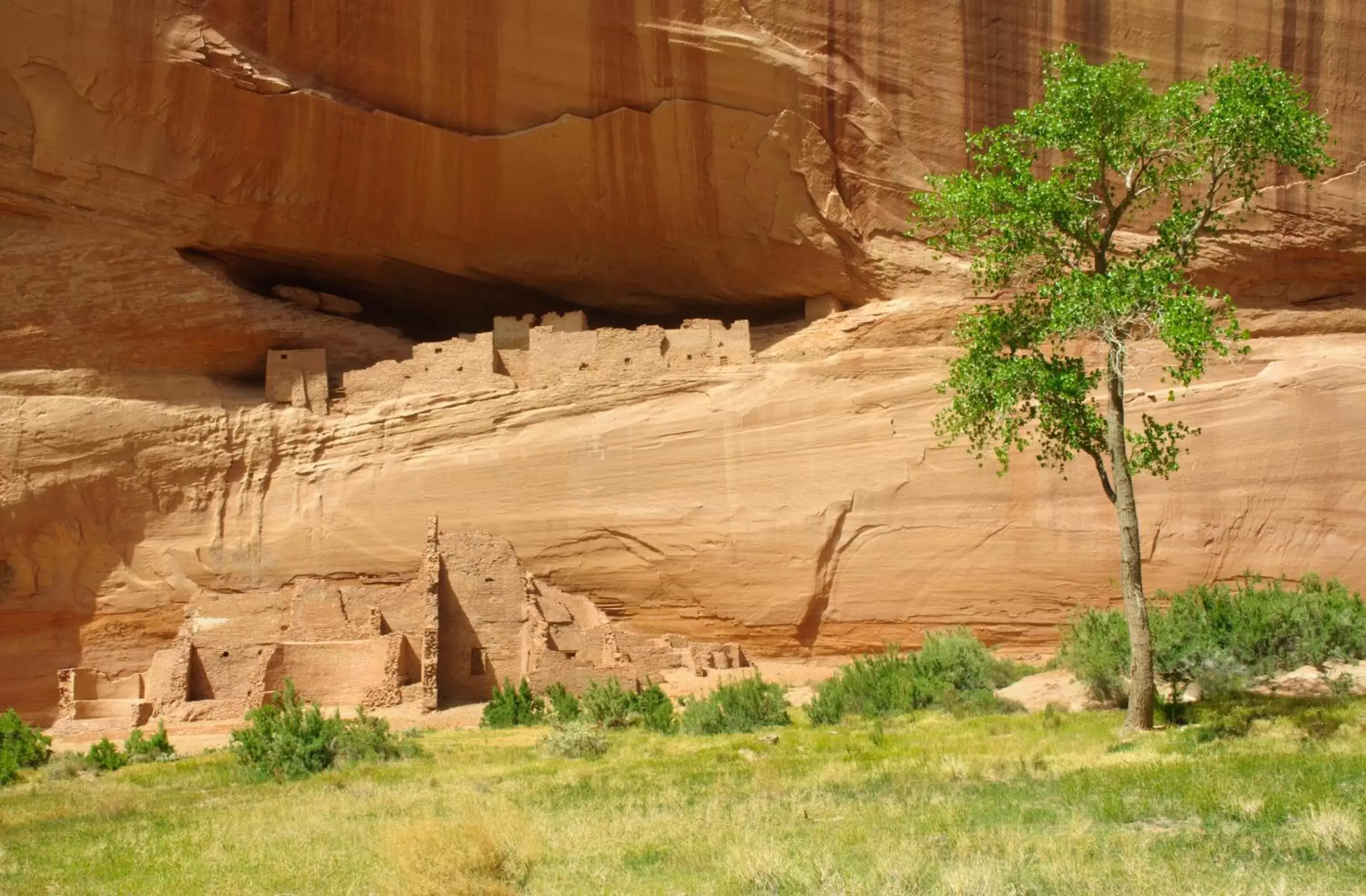 Natural landscape in Thunderbird Lodge