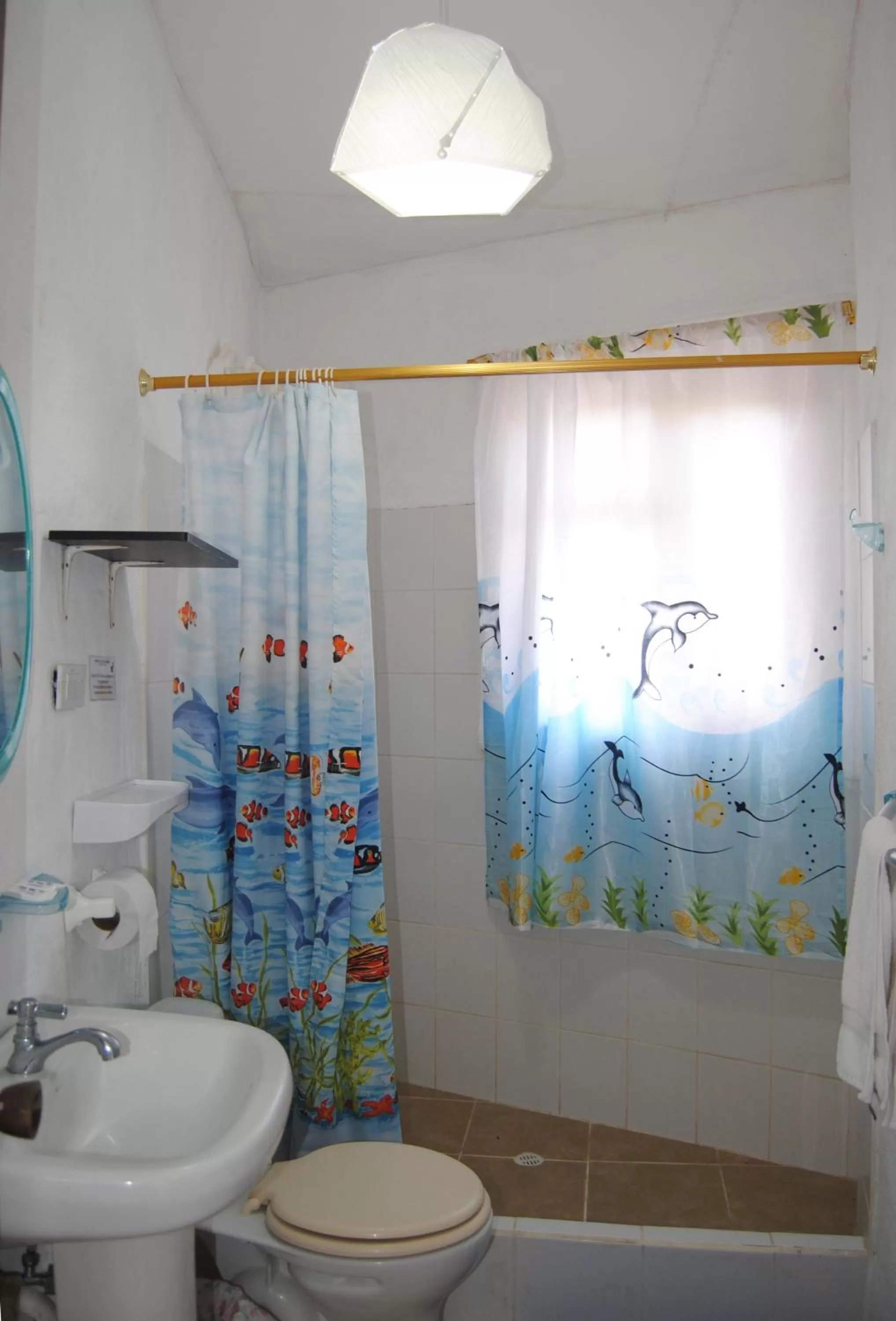 Shower in Hostal Galapagos by Bar de Beto