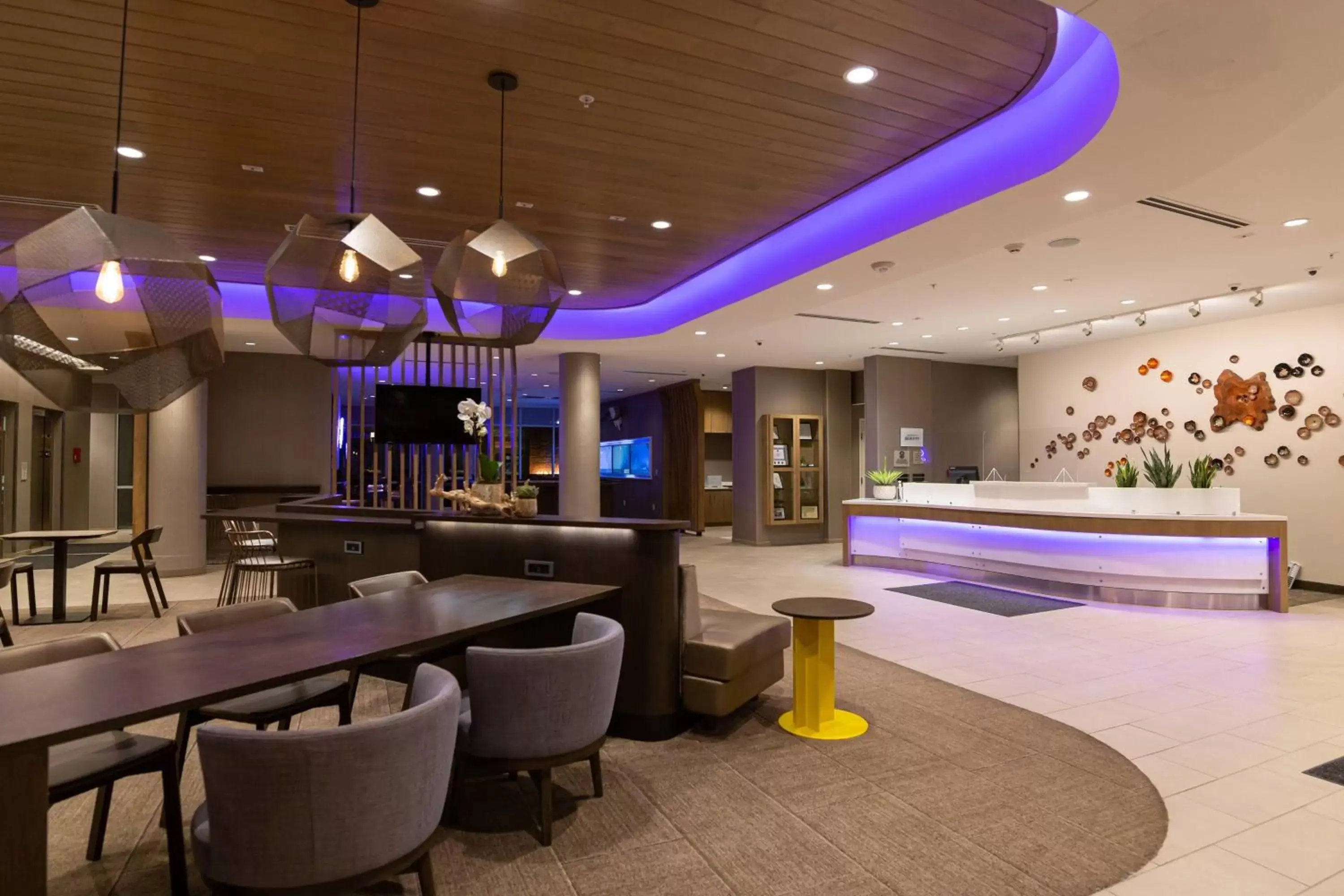 Lobby or reception, Swimming Pool in SpringHill Suites by Marriott Austin Cedar Park