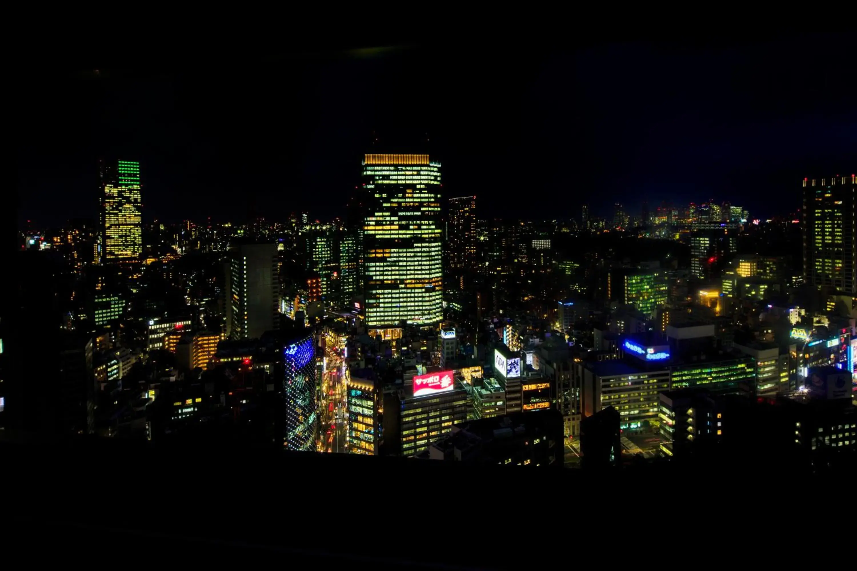 City view in The Capitol Hotel Tokyu