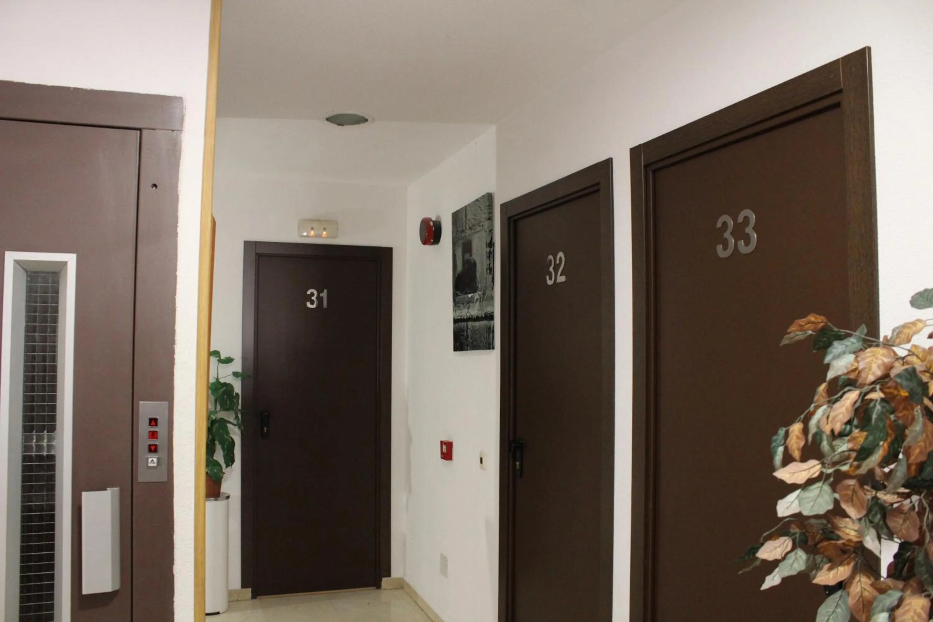 Other in Hotel Cuatro Caños