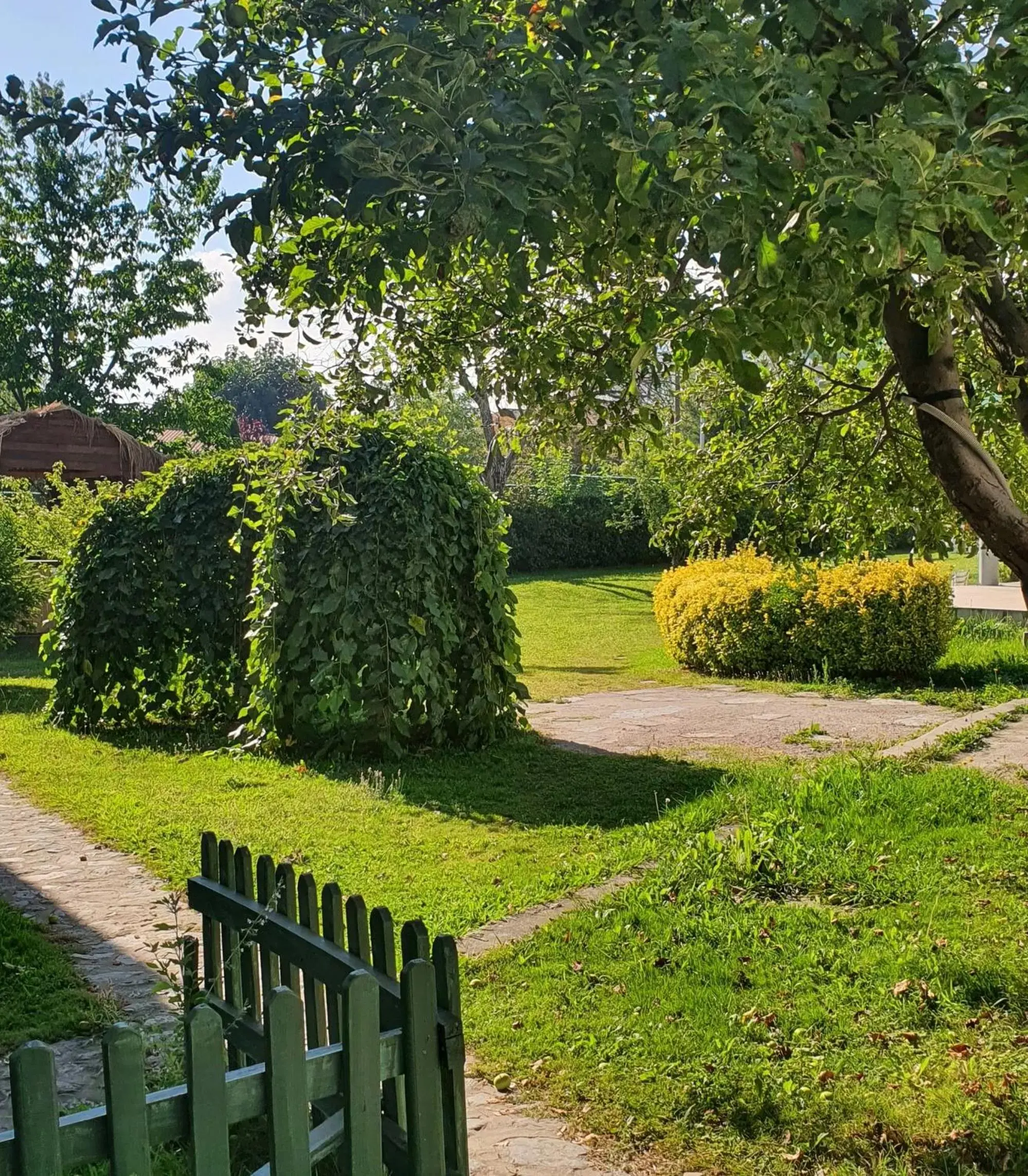 Natural landscape, Garden in Sapanca Aqua Wellness SPA Hotel & Aqua Park