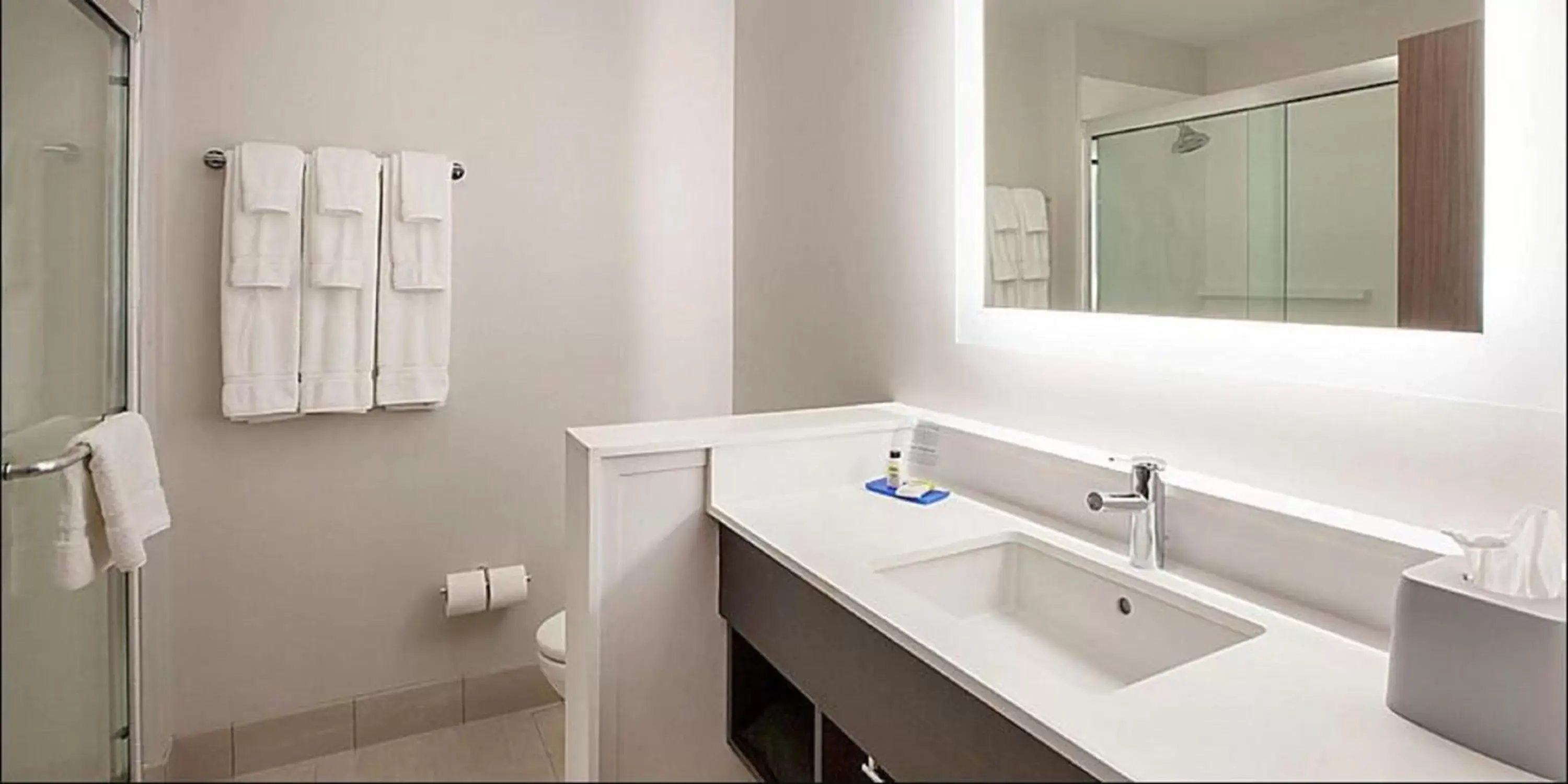 Bathroom in Holiday Inn Express & Suites - Bardstown, an IHG Hotel