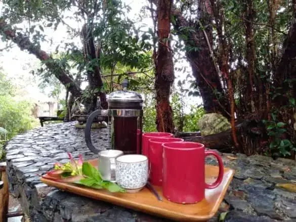 Sanctuaria Treehouses Busuanga