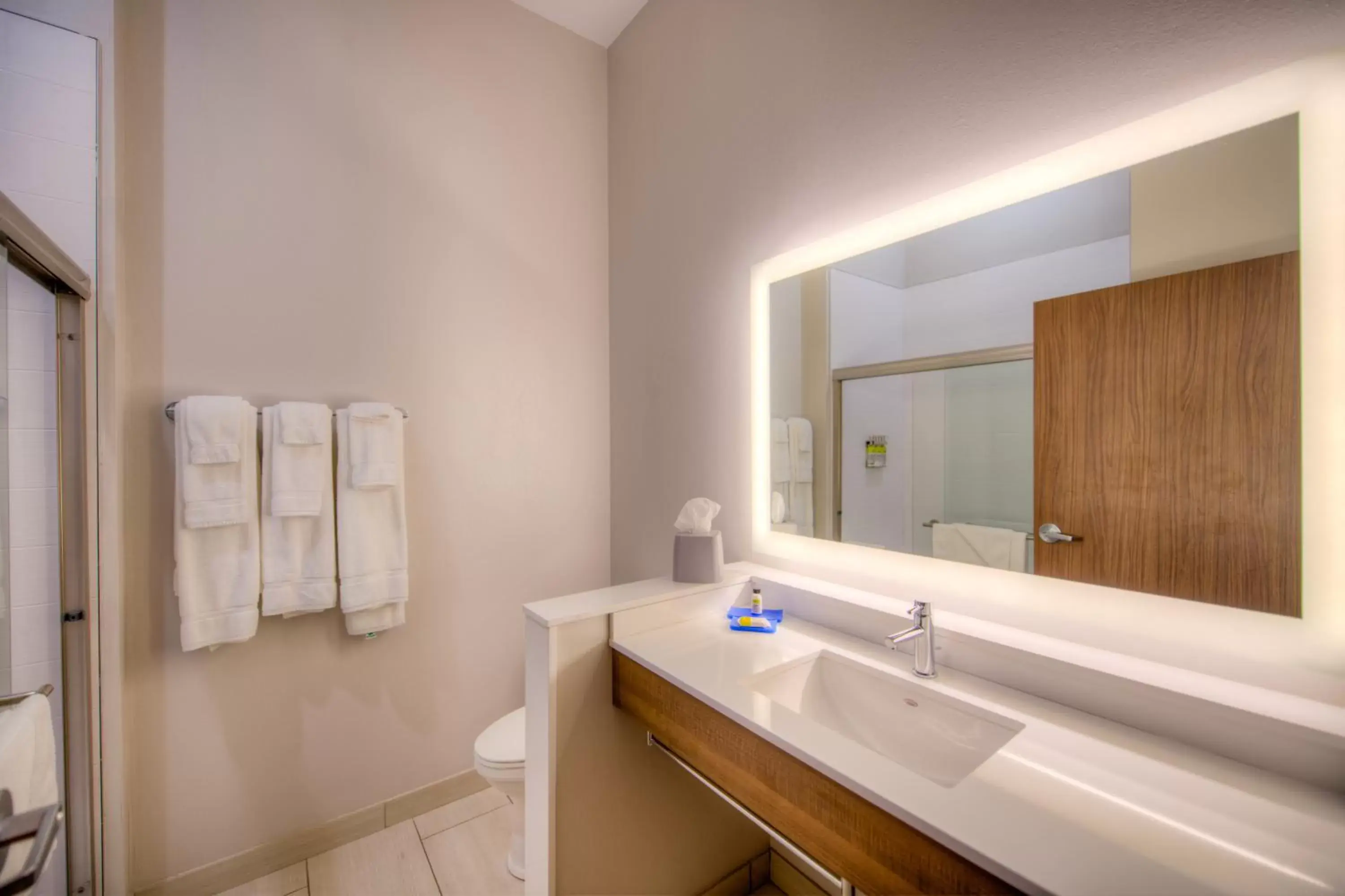 Bathroom in Holiday Inn Express & Suites - Remington, an IHG Hotel