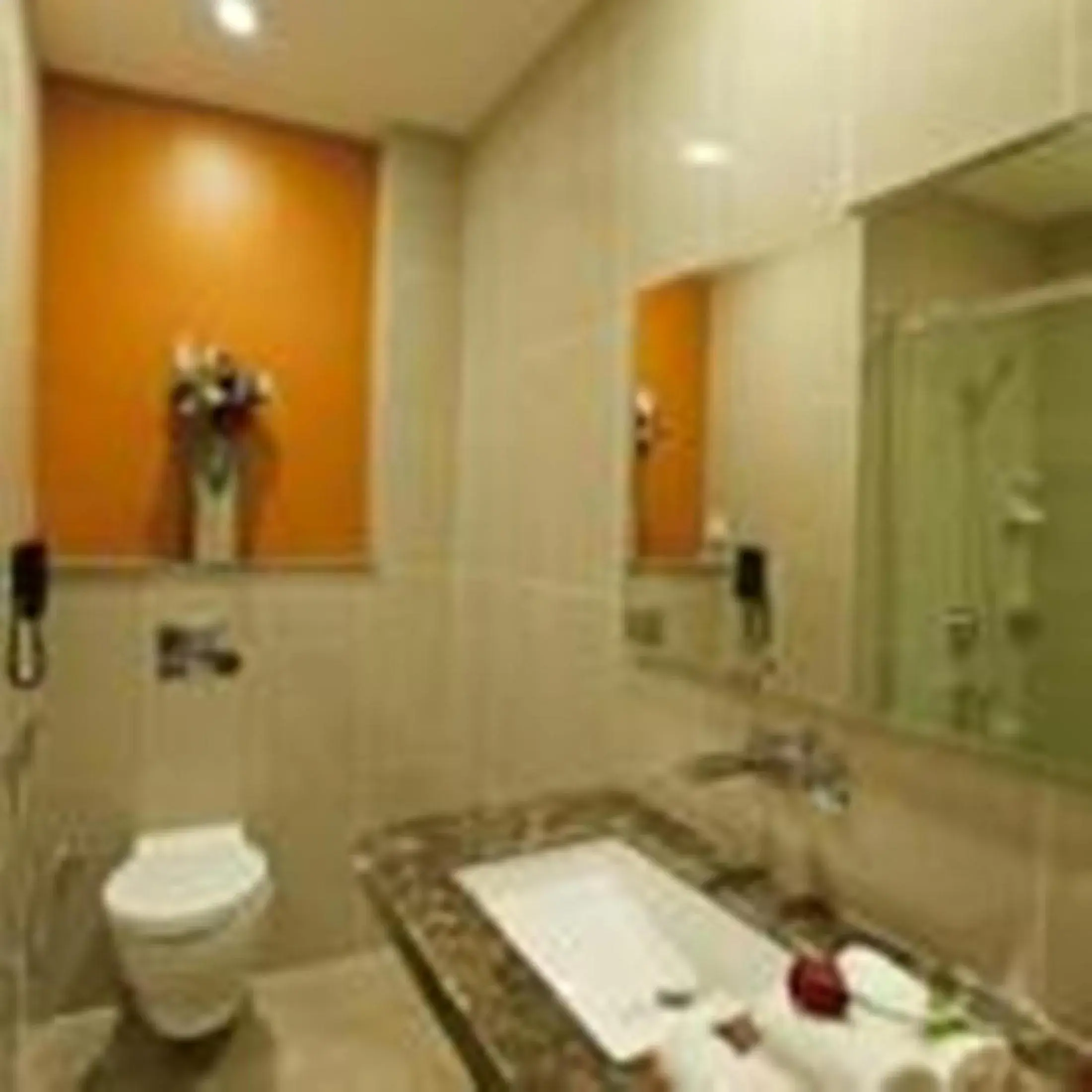 Bathroom in Nidhivan Sarovar Portico