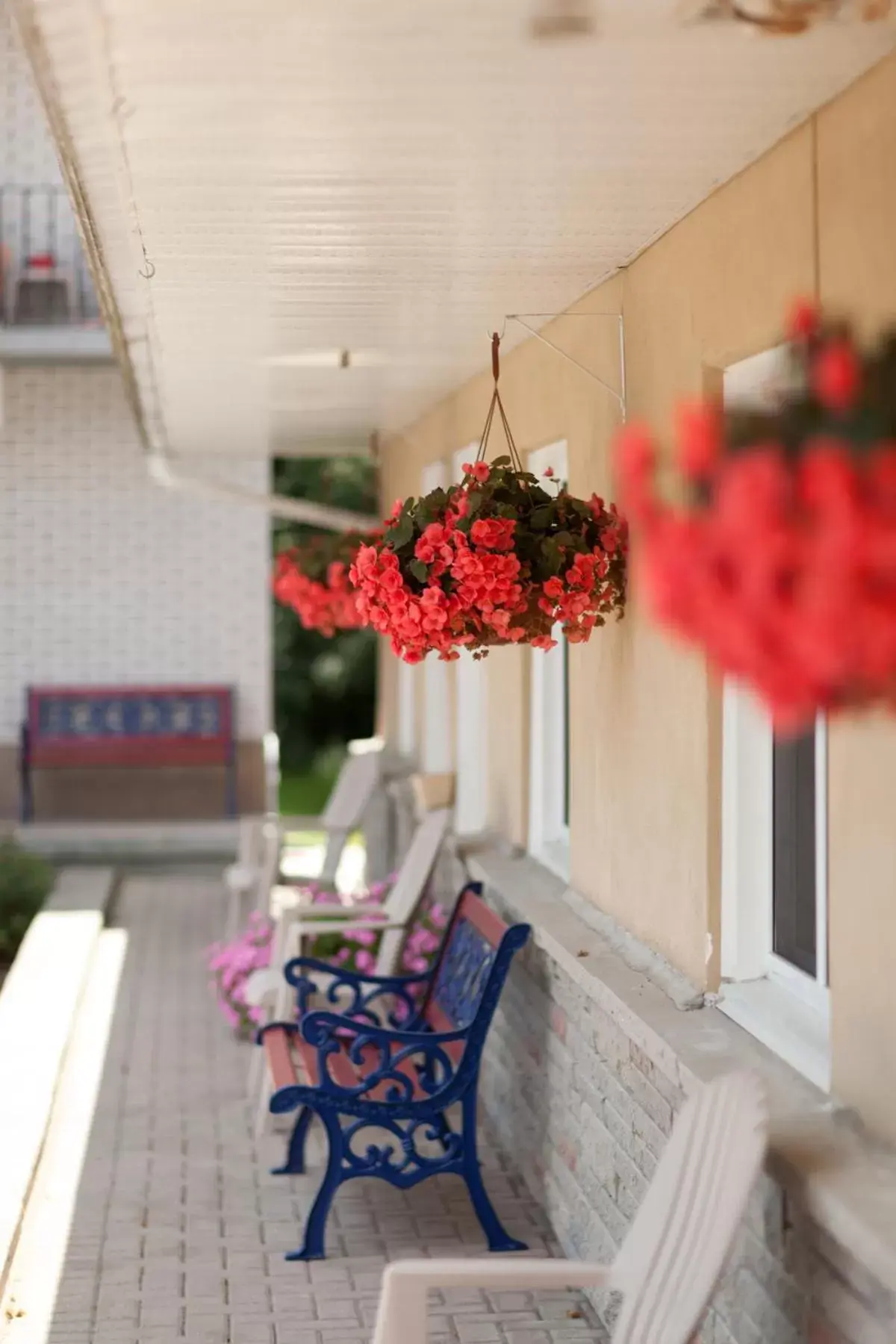 Balcony/Terrace in Kent Inn