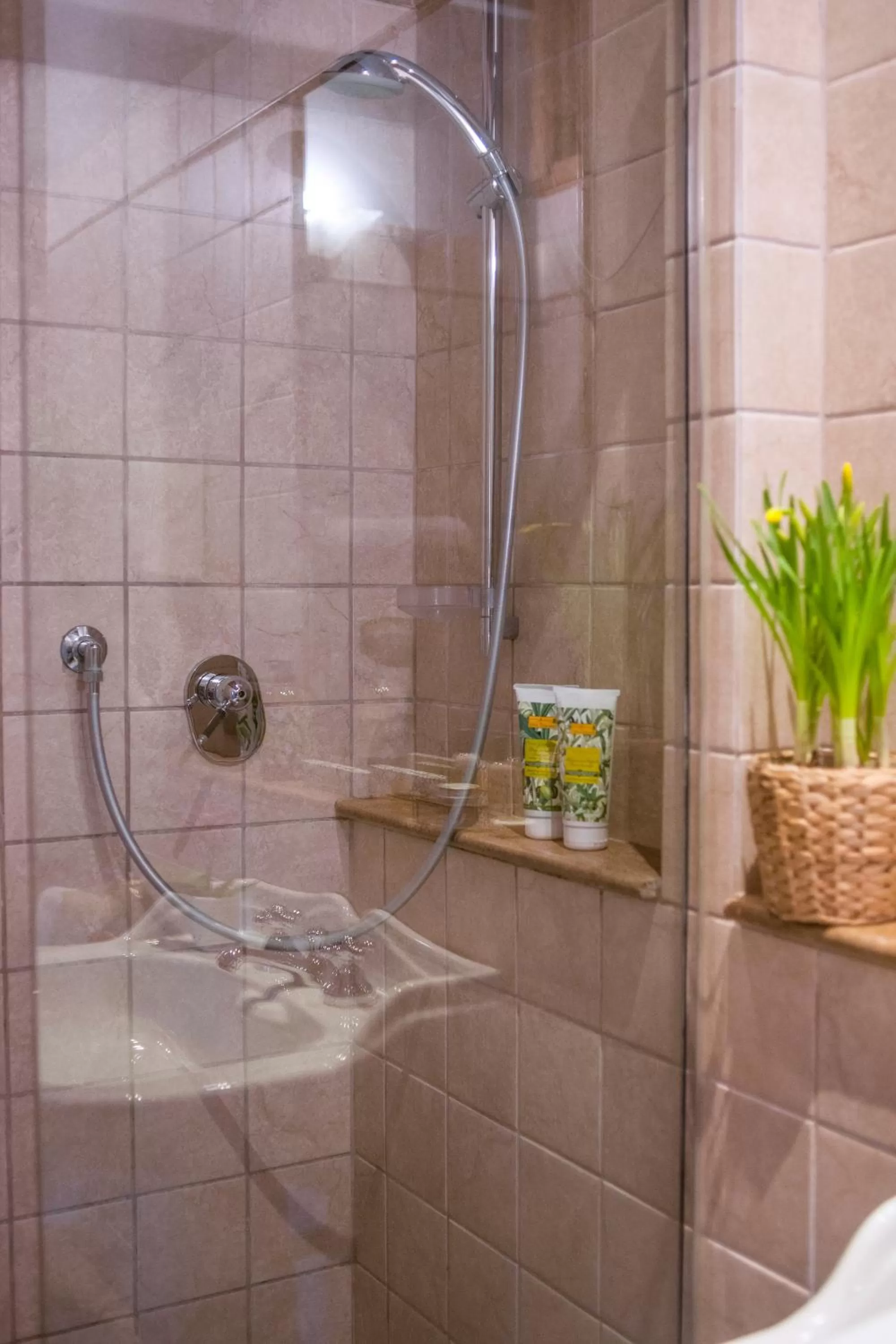 Shower in Antica Dimora De' Benci