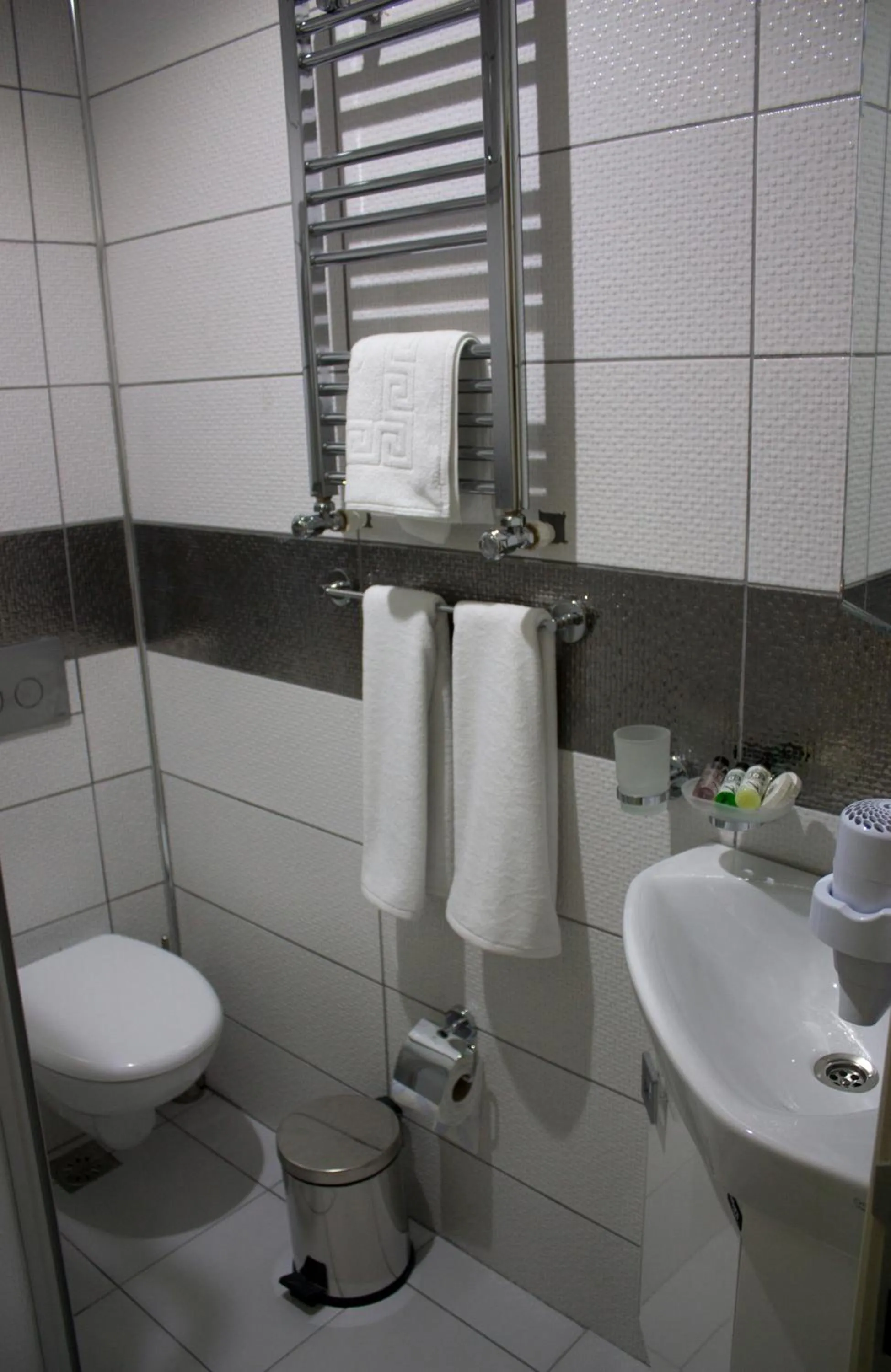 Toilet in Istanbul Central Hotel