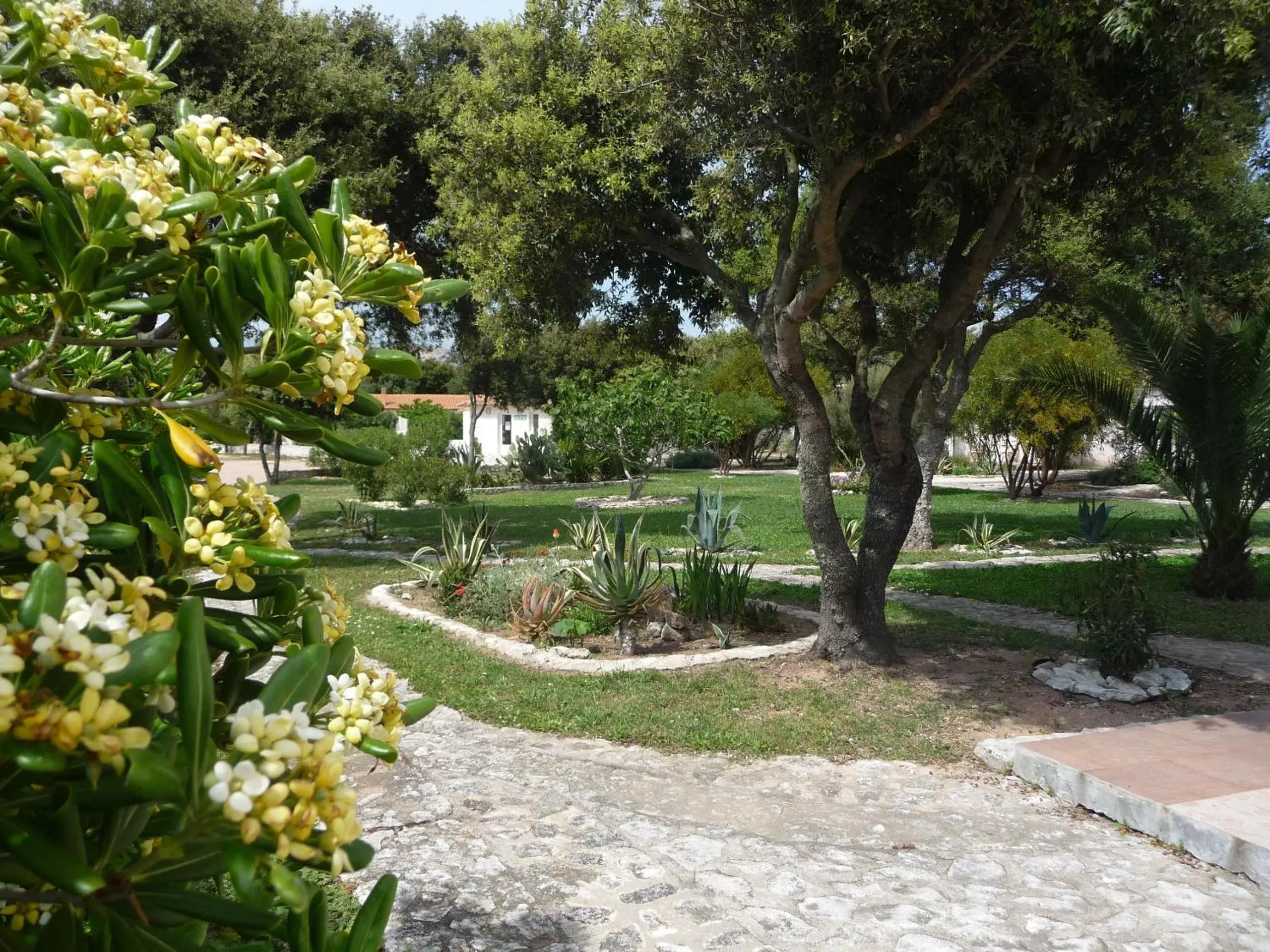 Garden in Hôtel Padolo