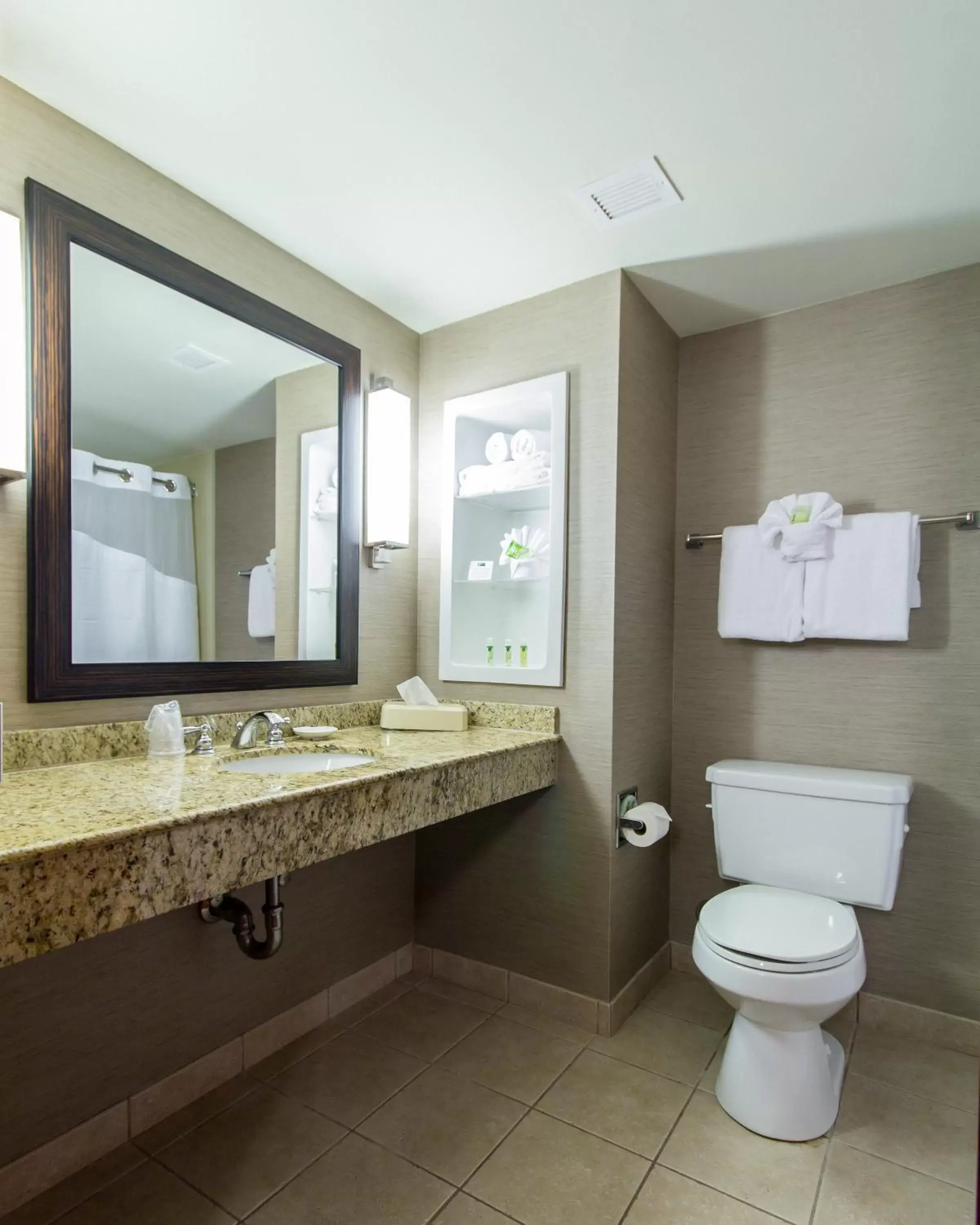 Bathroom in Holiday Inn Express Hotel & Suites Auburn, an IHG Hotel