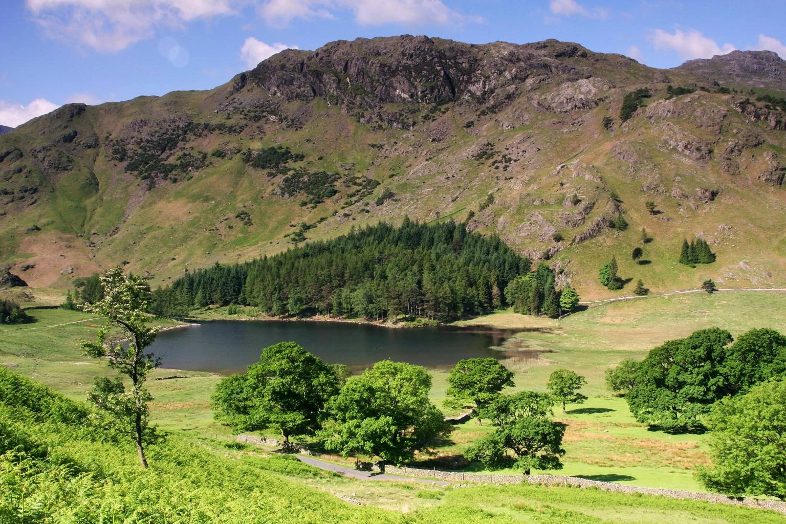 Area and facilities in Storrs Gate House