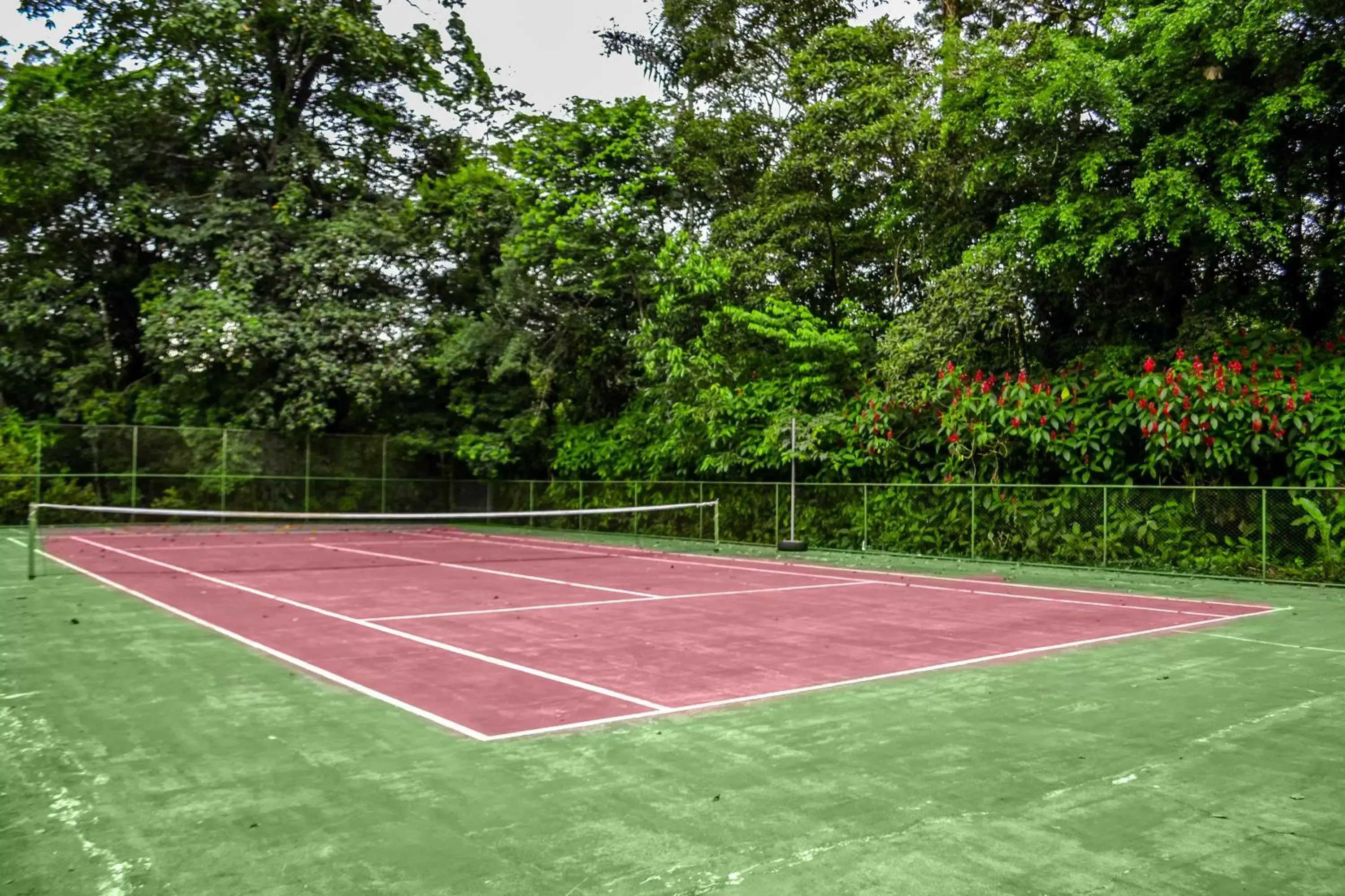 Activities, Tennis/Squash in El Tucano Resort & Thermal Spa