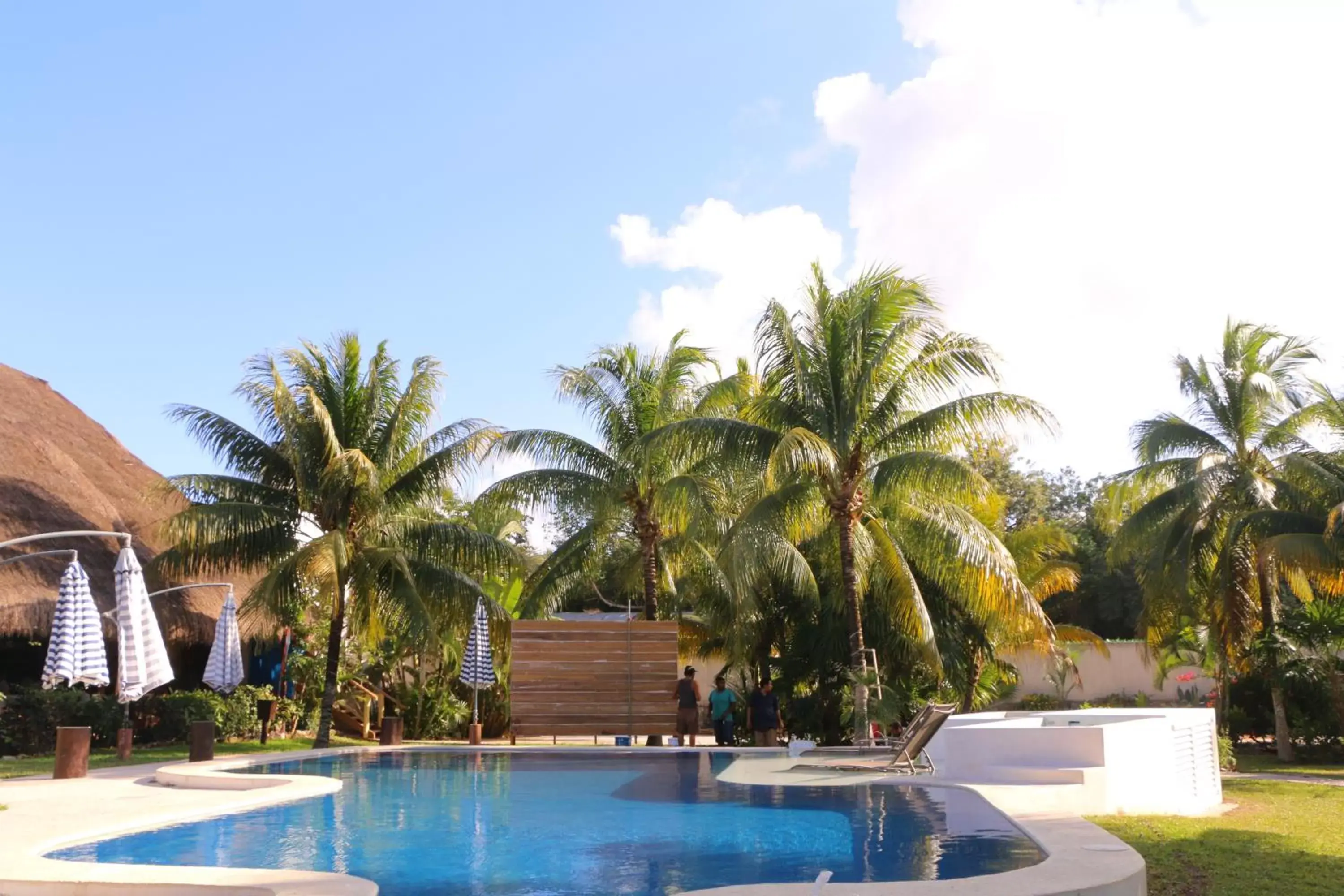 Other, Swimming Pool in WishTulum