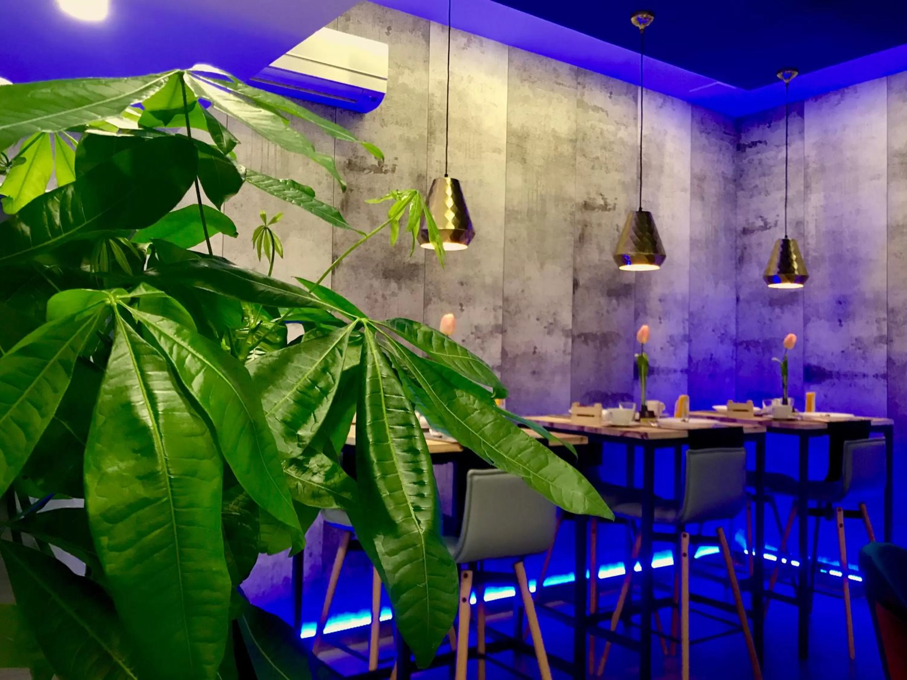 Decorative detail in Bourbon House