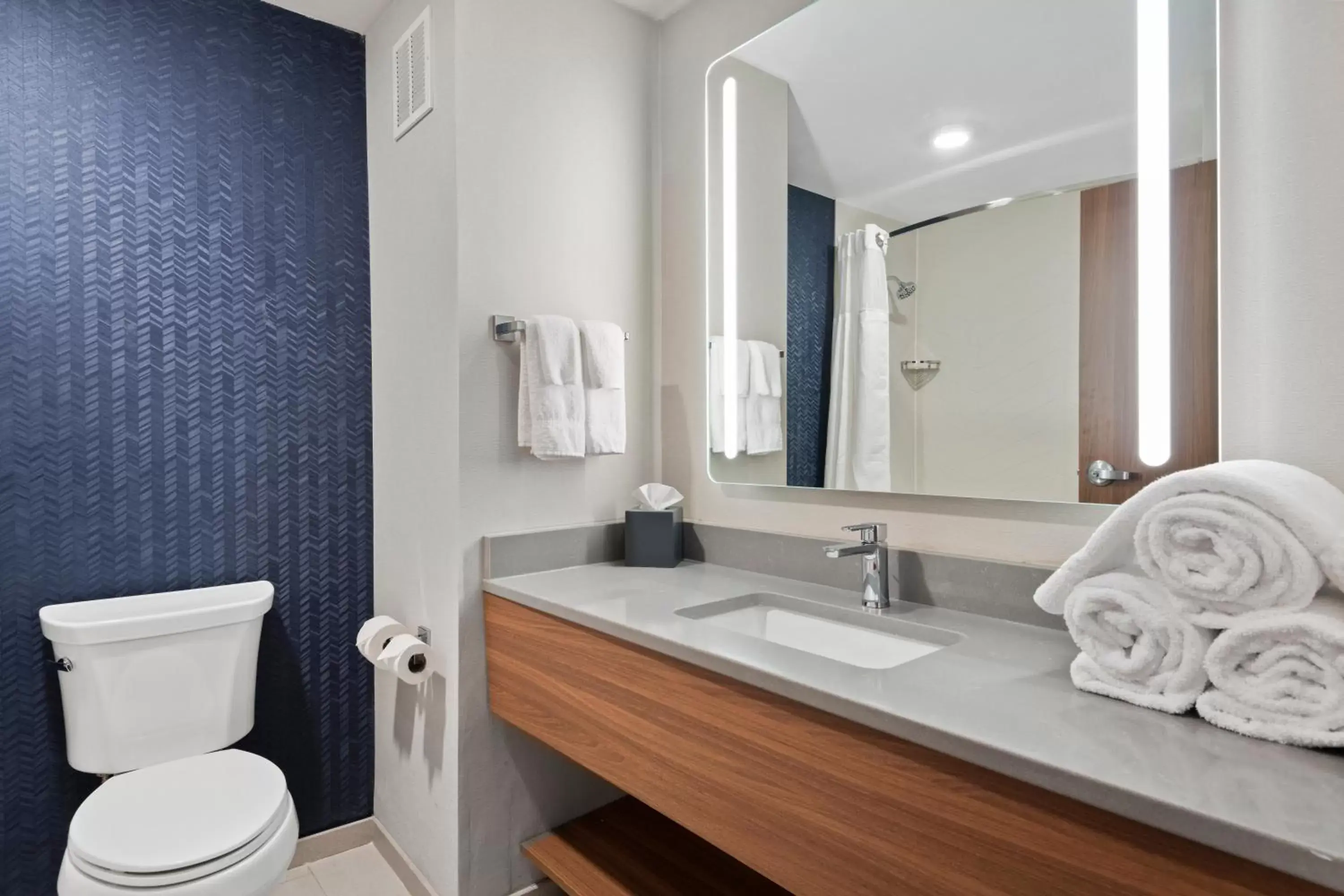 Bathroom in Fairfield Inn & Suites by Marriott Hickory