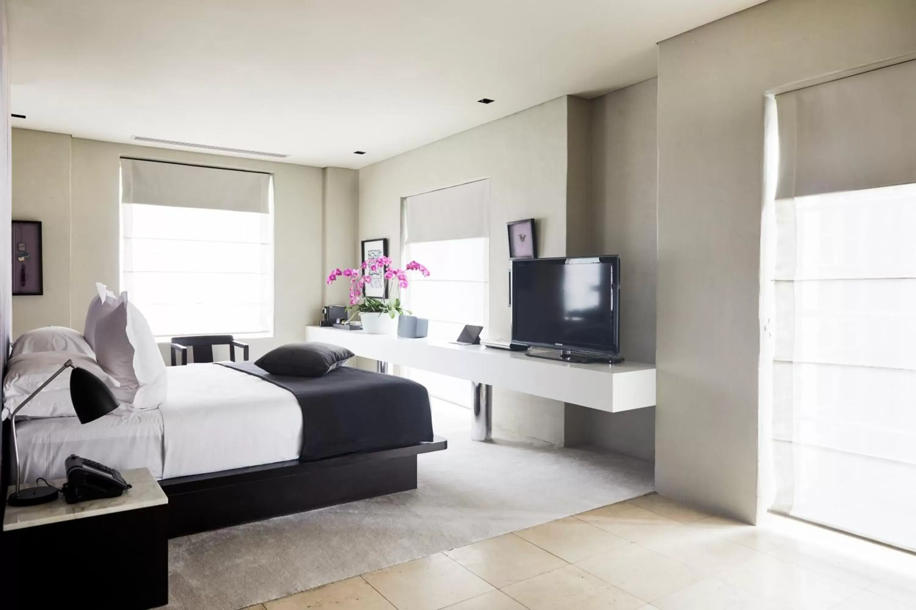 TV and multimedia, Bed in Establishment Hotel TV and multimedia, Bed in Establishment Hotel