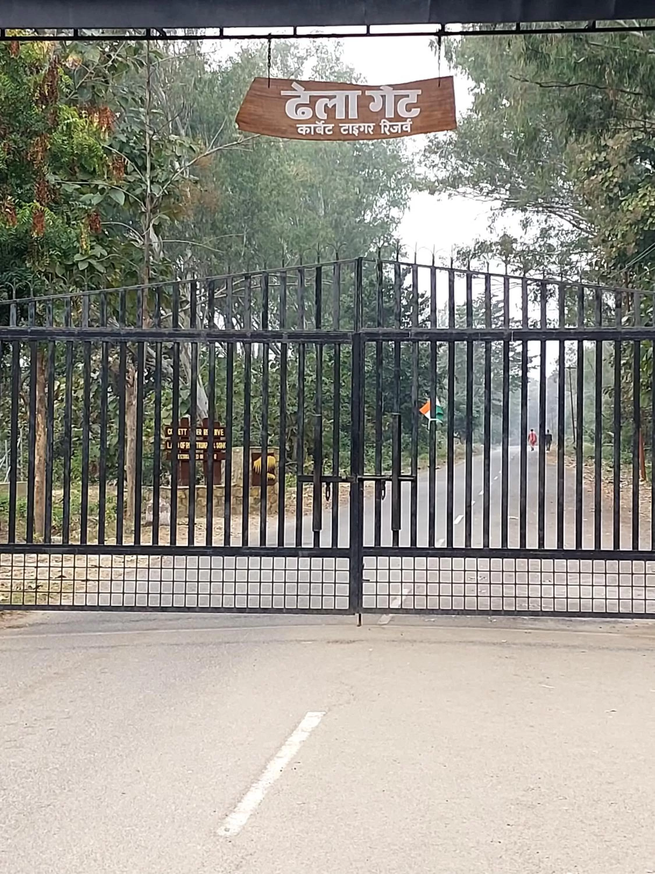 Property building in The Corbett Jungle By JitaInn