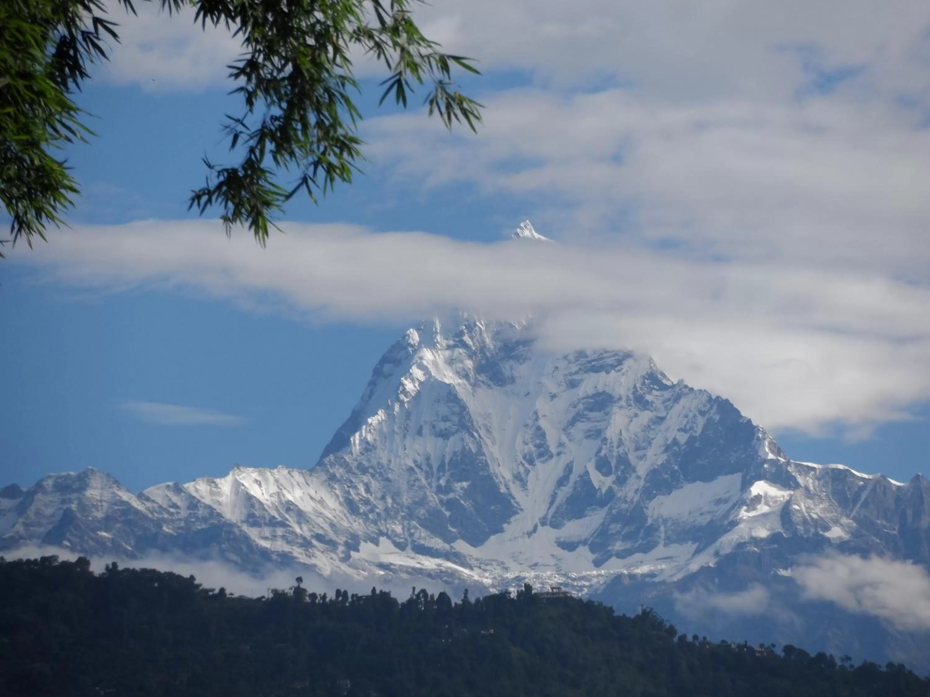 View (from property/room) in Hotel Diplomat