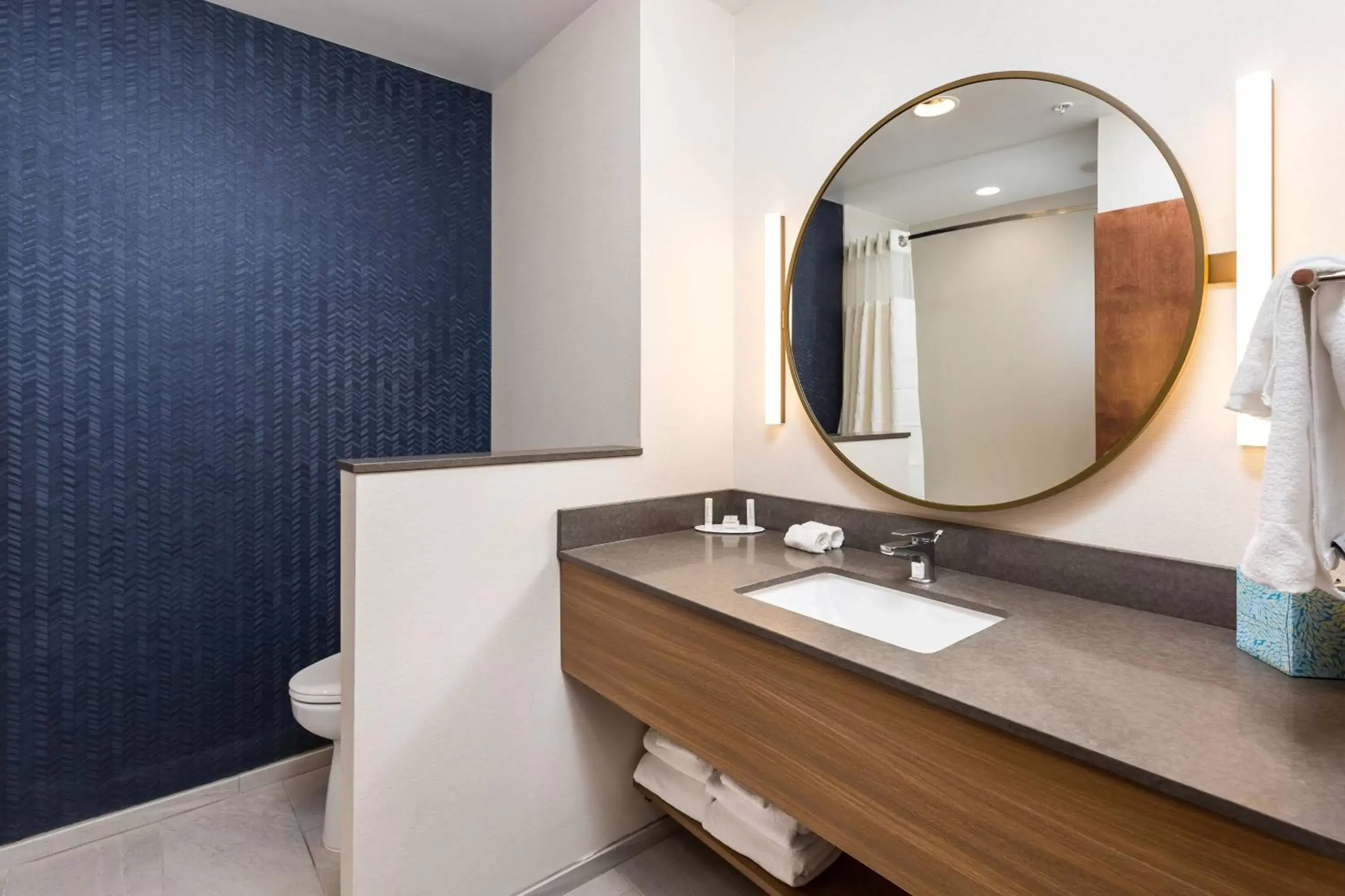 Bathroom in Fairfield Inn & Suites by Marriott Crestview