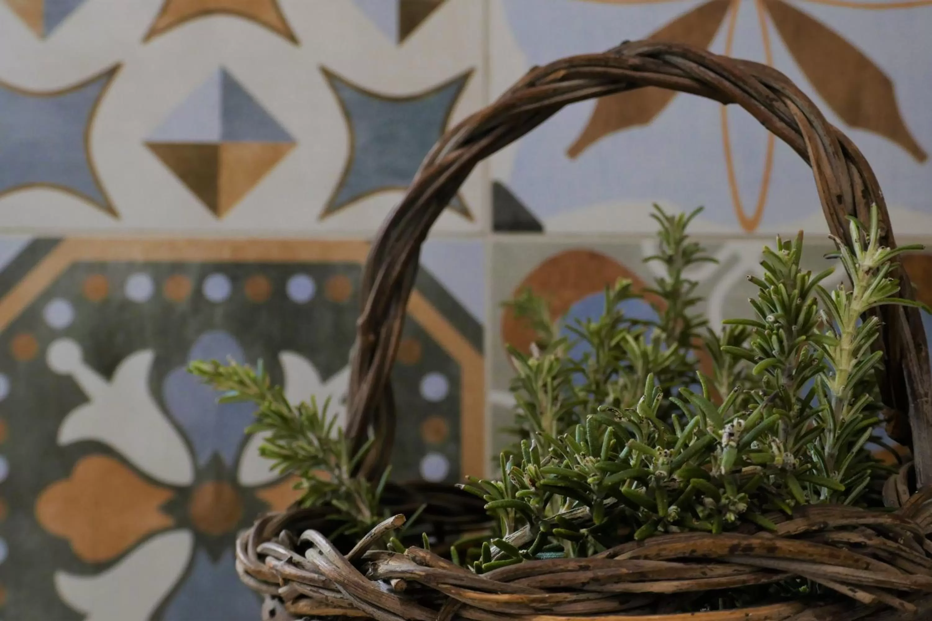 Trullo La chicca della valle