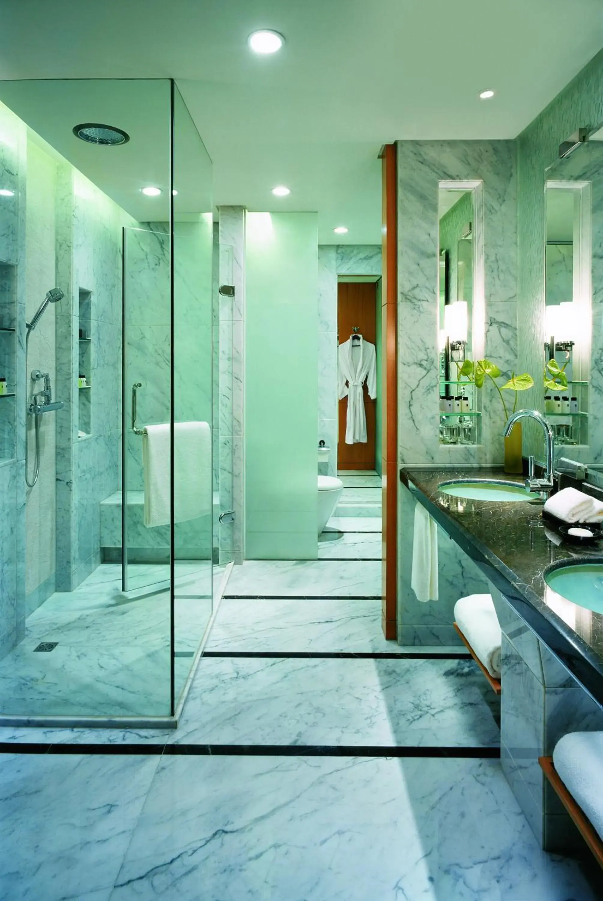 Bathroom in Hyatt Regency Dongguan